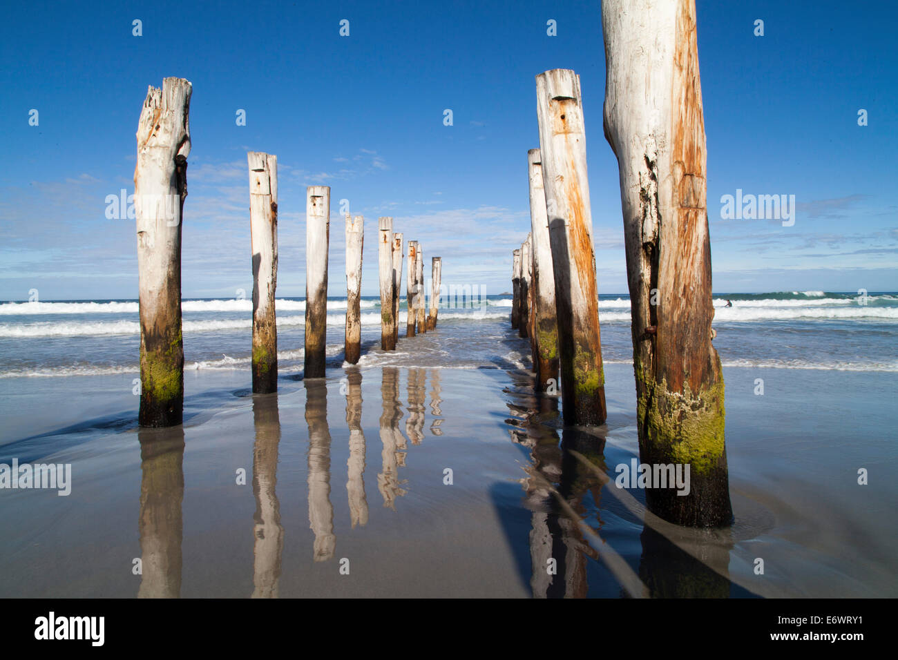 Les pilotis de bois d'une ancienne jetée, St Clair Beach, Dunedin, Otago, île du Sud, Nouvelle-Zélande Banque D'Images