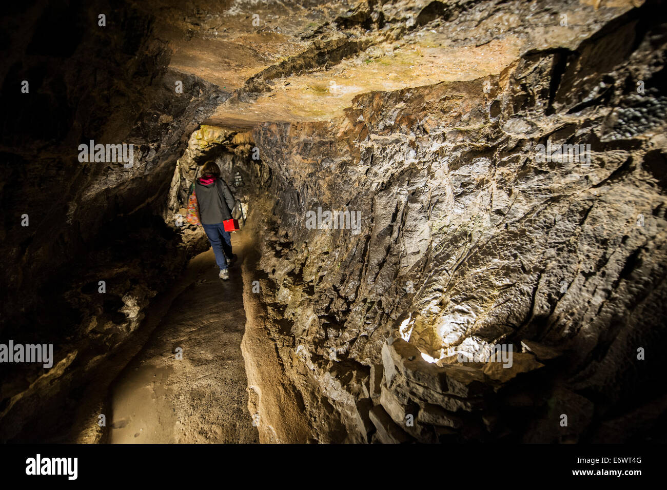 Dan-yr-Ogof Grottes grotte au National Centre for Wales, Swansea, Abercrave. Banque D'Images
