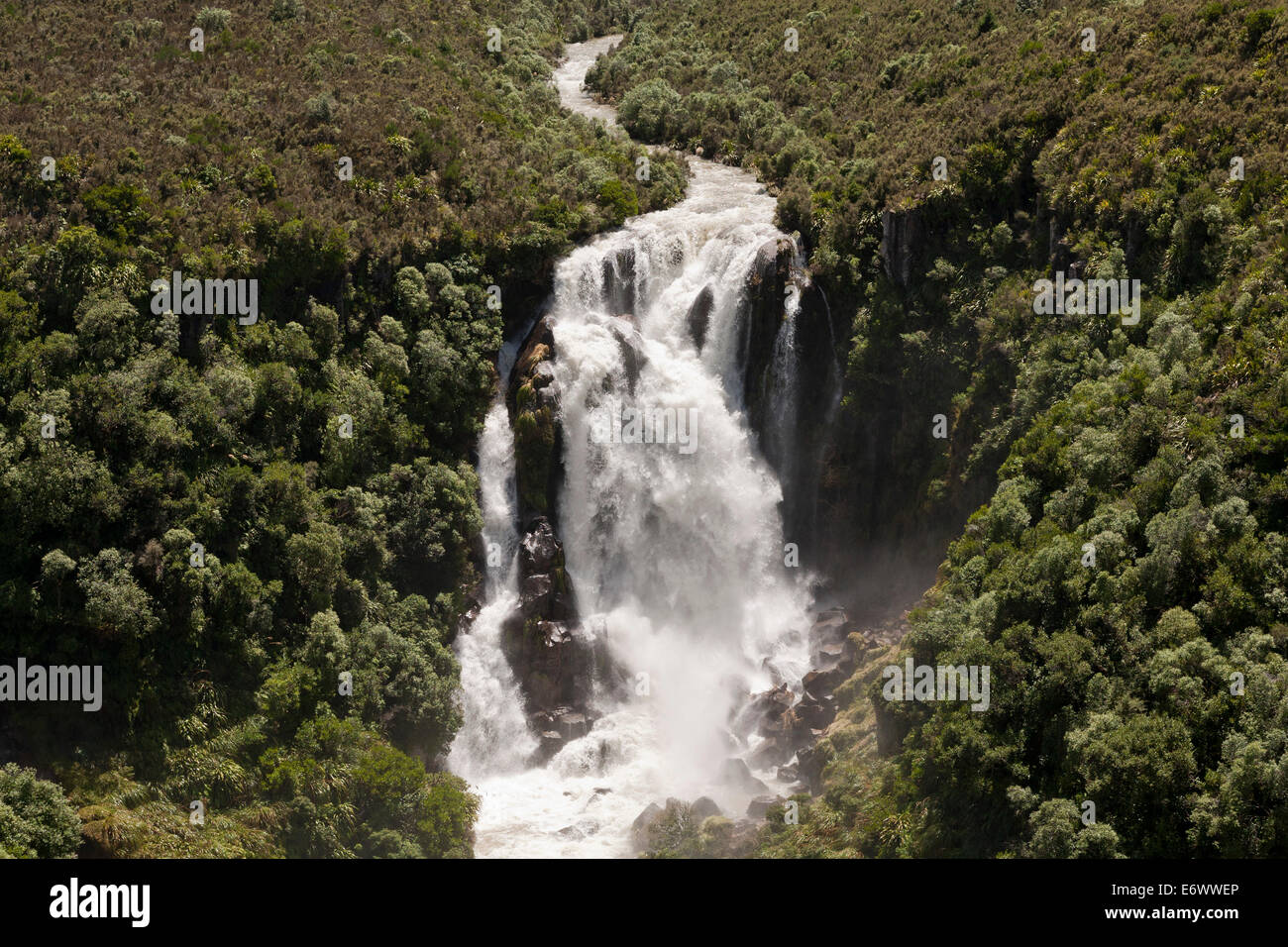 Cascade de Waipunga Falls sur le Mohaka river, North Island, New Zealand Banque D'Images