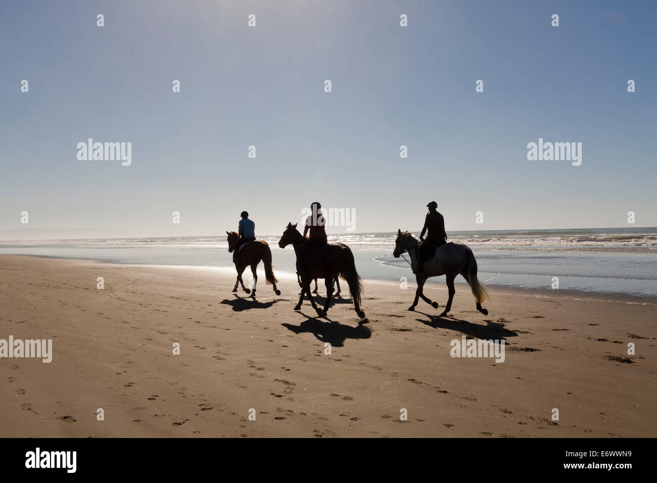 Cavaliers, matin, l'exercice et une plage vide, Christchurch, Nouvelle-Zélande, île du Sud Banque D'Images
