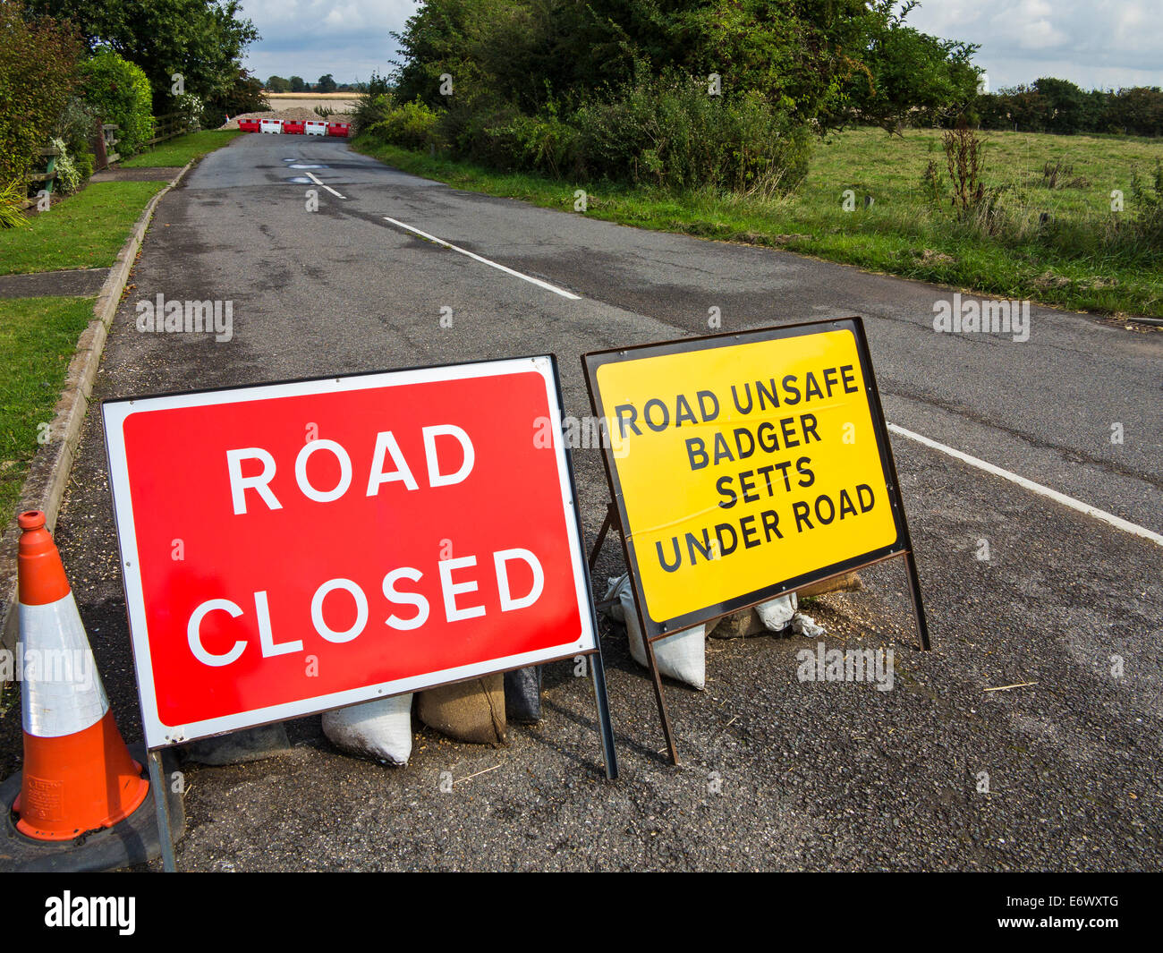 La revanche des blaireaux ? Les panneaux signalant la présence d'une route de campagne fermée en raison de blaireaux creusant leurs terriers sous elle. Banque D'Images