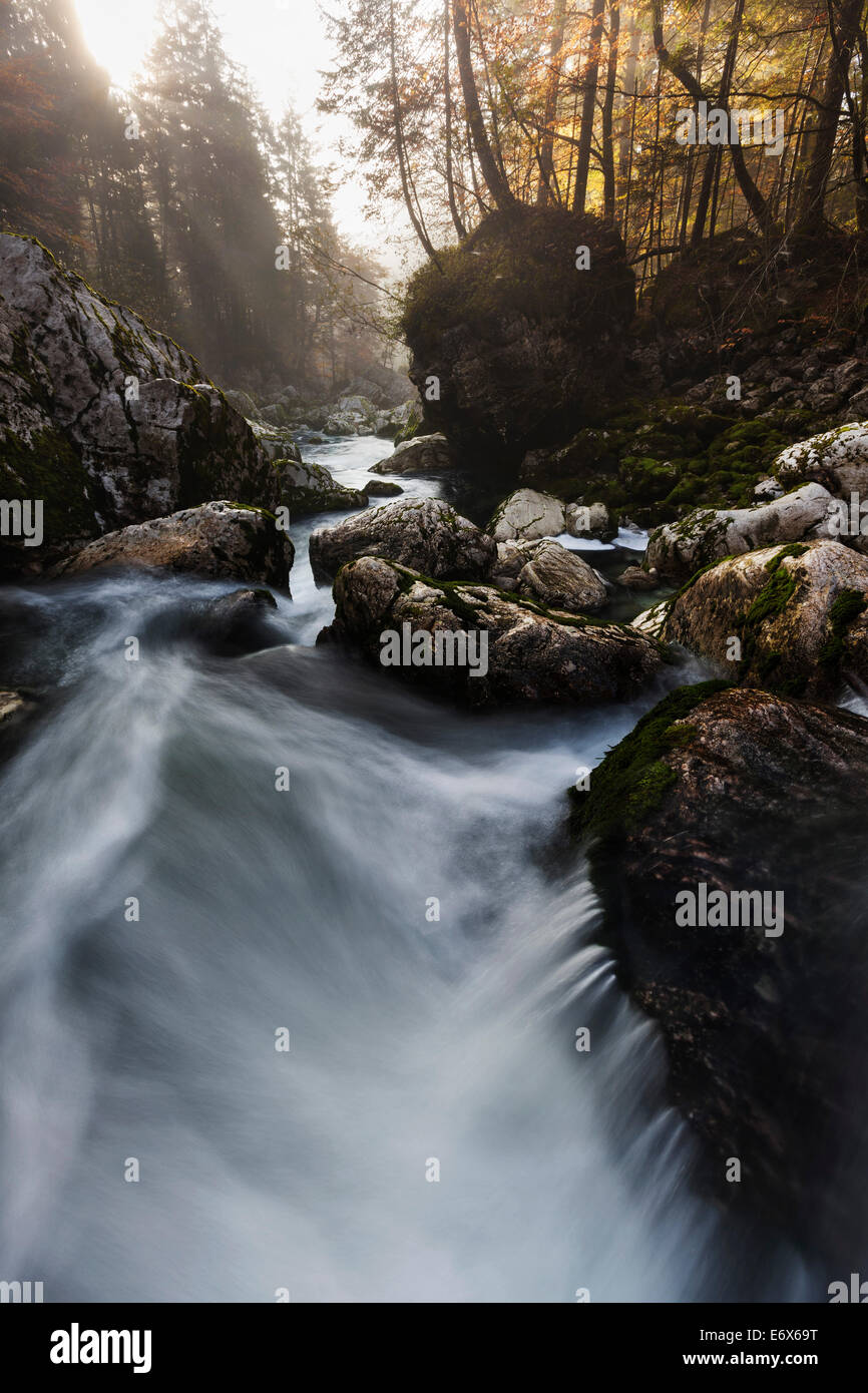 Les rayons du soleil pénétrer à travers la brume matinale sur la rivière Savica et les rochers dans le lit du cours d'eau, la Slovénie, Gorenjska Banque D'Images