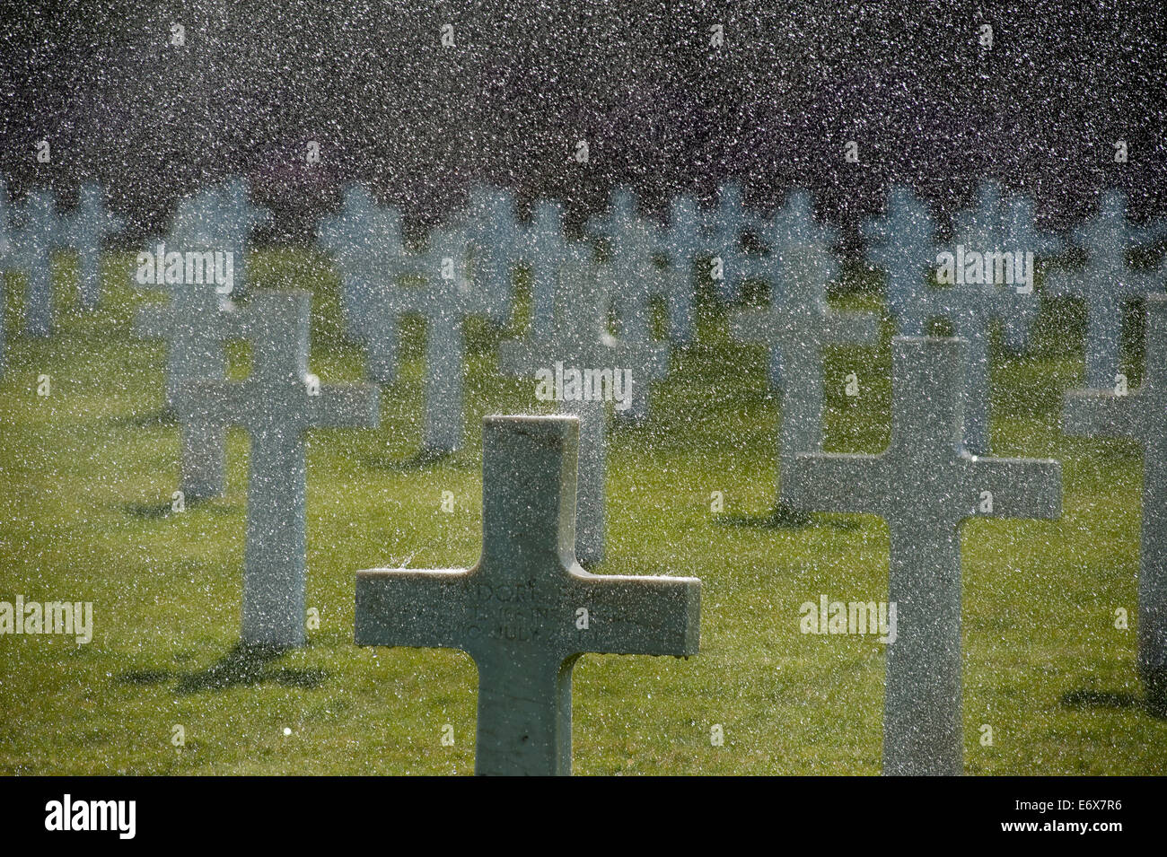 Verdun belleau bois bois de brigade de marine nous Banque de