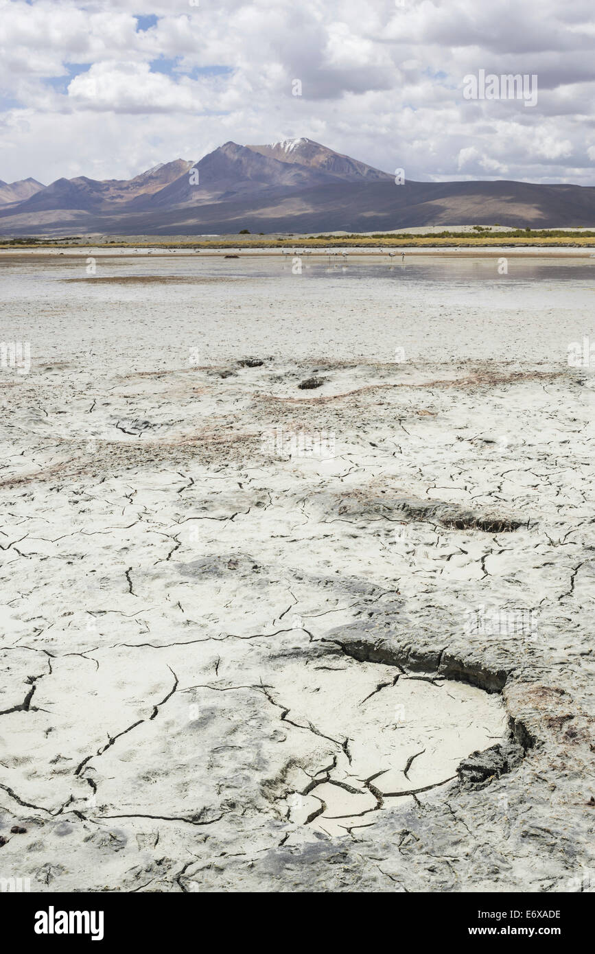 Une presque tarie salt lake, putre, Arica et parinacota, Chili Banque D'Images