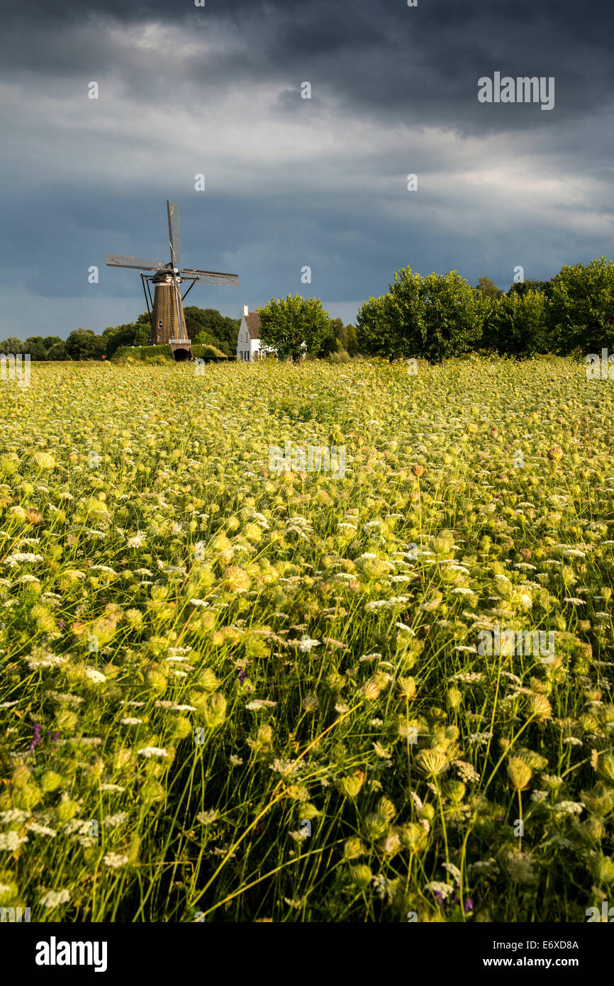 Pays-bas, Nuenen, Village de Vincent van Gogh. Moulin De Roosdonck, qui apparaît sur 7 dessins de Van Gogh. Banque D'Images