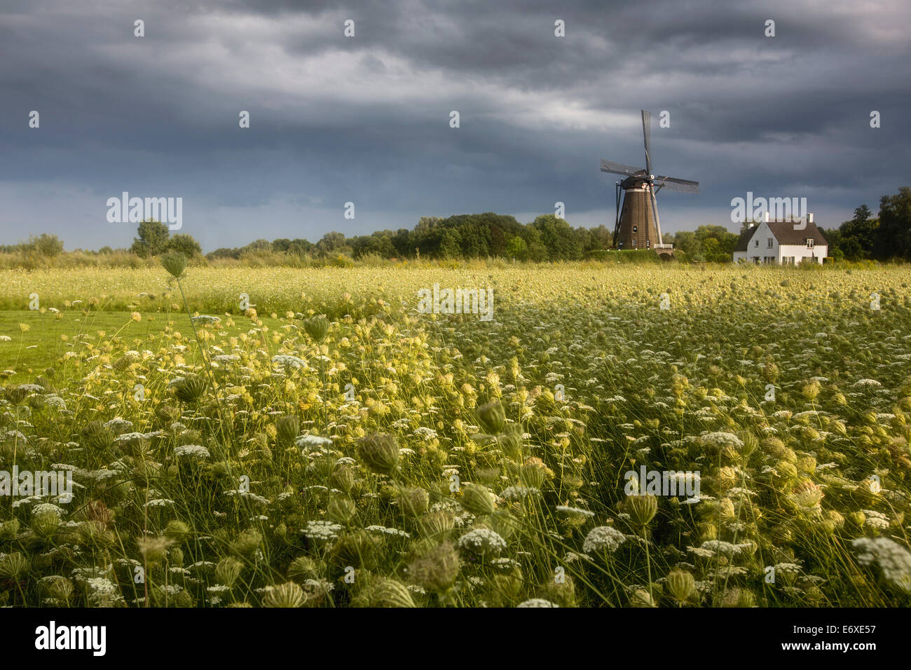 Pays-bas, Nuenen, Village de Vincent van Gogh. Moulin De Roosdonck, qui apparaît sur 7 dessins de Van Gogh. Banque D'Images