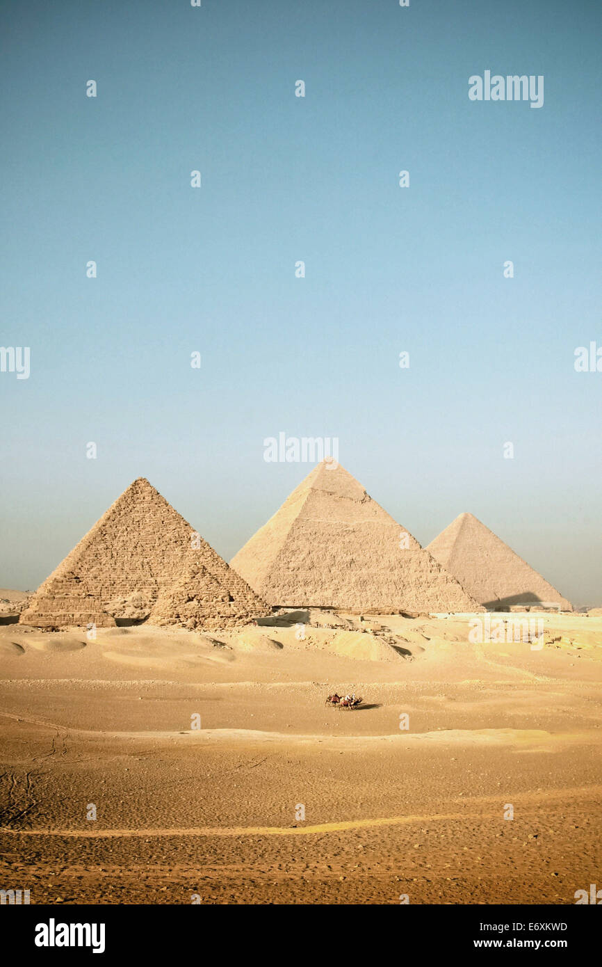 Quatre chameaux devant les pyramides de Gizeh, Egypte, Afrique du Sud Banque D'Images