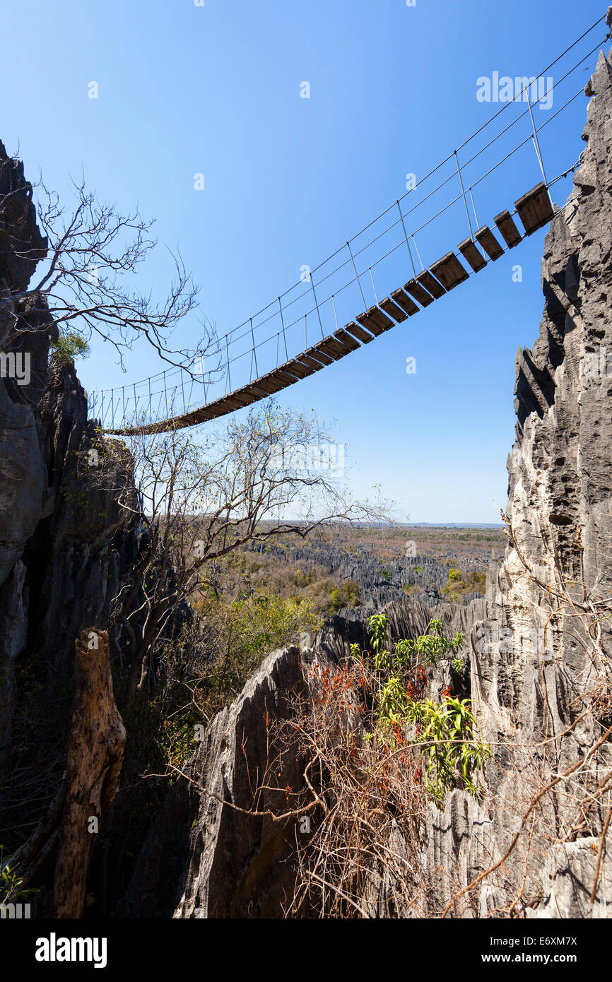 Pont suspendu de Tsingy-de-Parc National de Bemaraha, Mahajanga, Madagascar, Afrique Banque D'Images