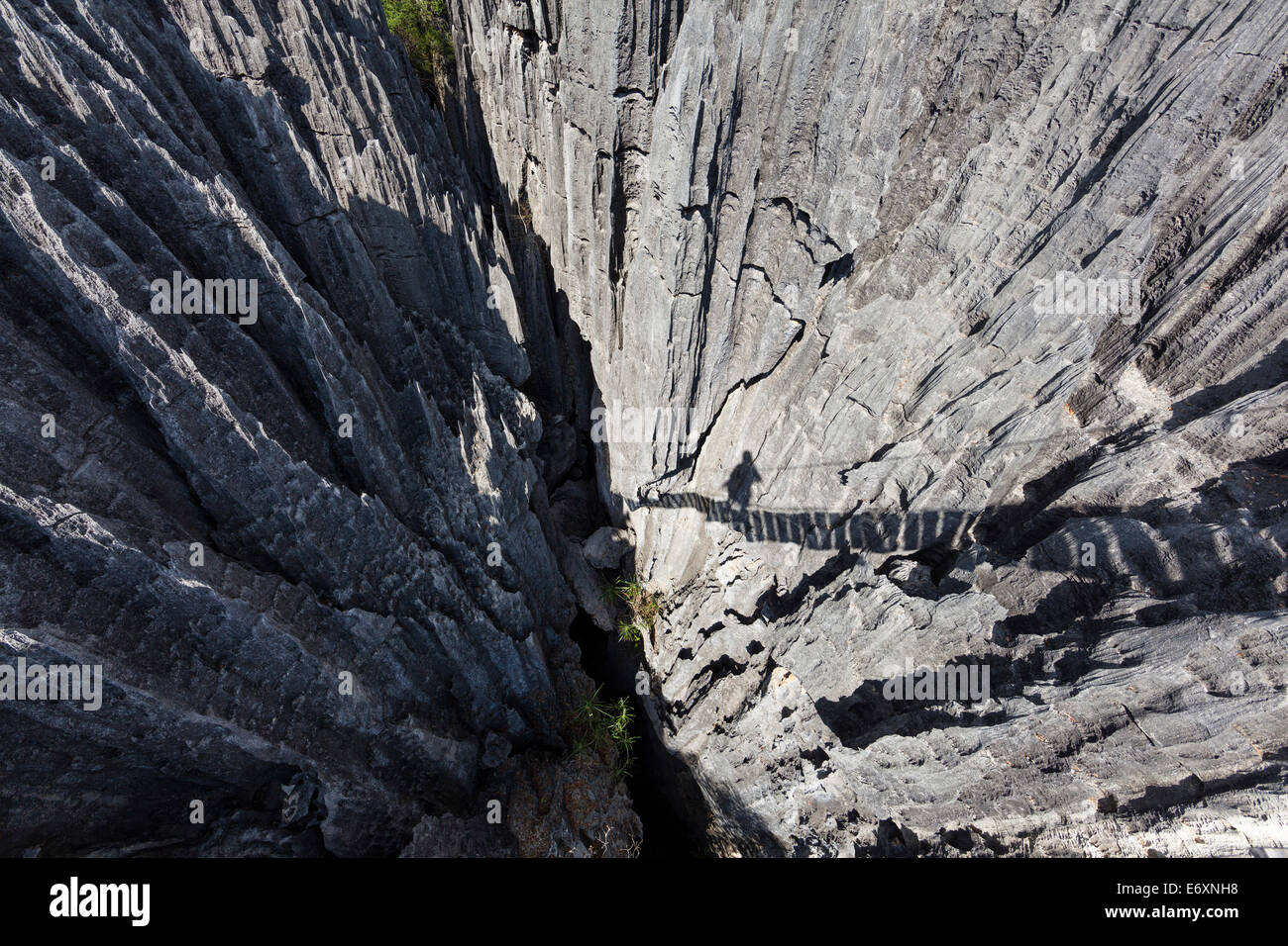 Ombre d'un pont suspendu dans les Tsingy-de-Parc National de Bemaraha, Mahajanga, Madagascar, Afrique Banque D'Images