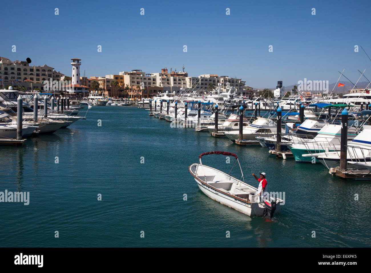 Yachts dans la marina, Cabo San Lucas, Baja California Sur, Mexique Banque D'Images