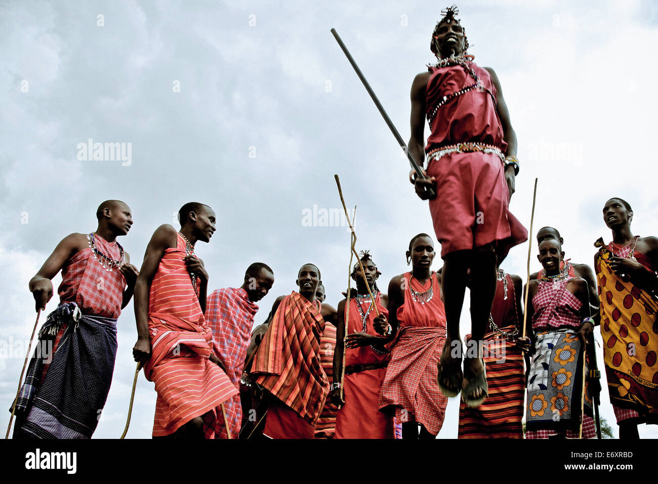 Les jeunes guerriers de la tribu Massai Morani dancing l'Adumu, Kenya, Africa Banque D'Images