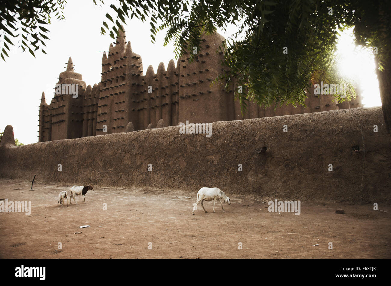Grande Mosquée, Djenné, région de Mopti, au Mali Banque D'Images