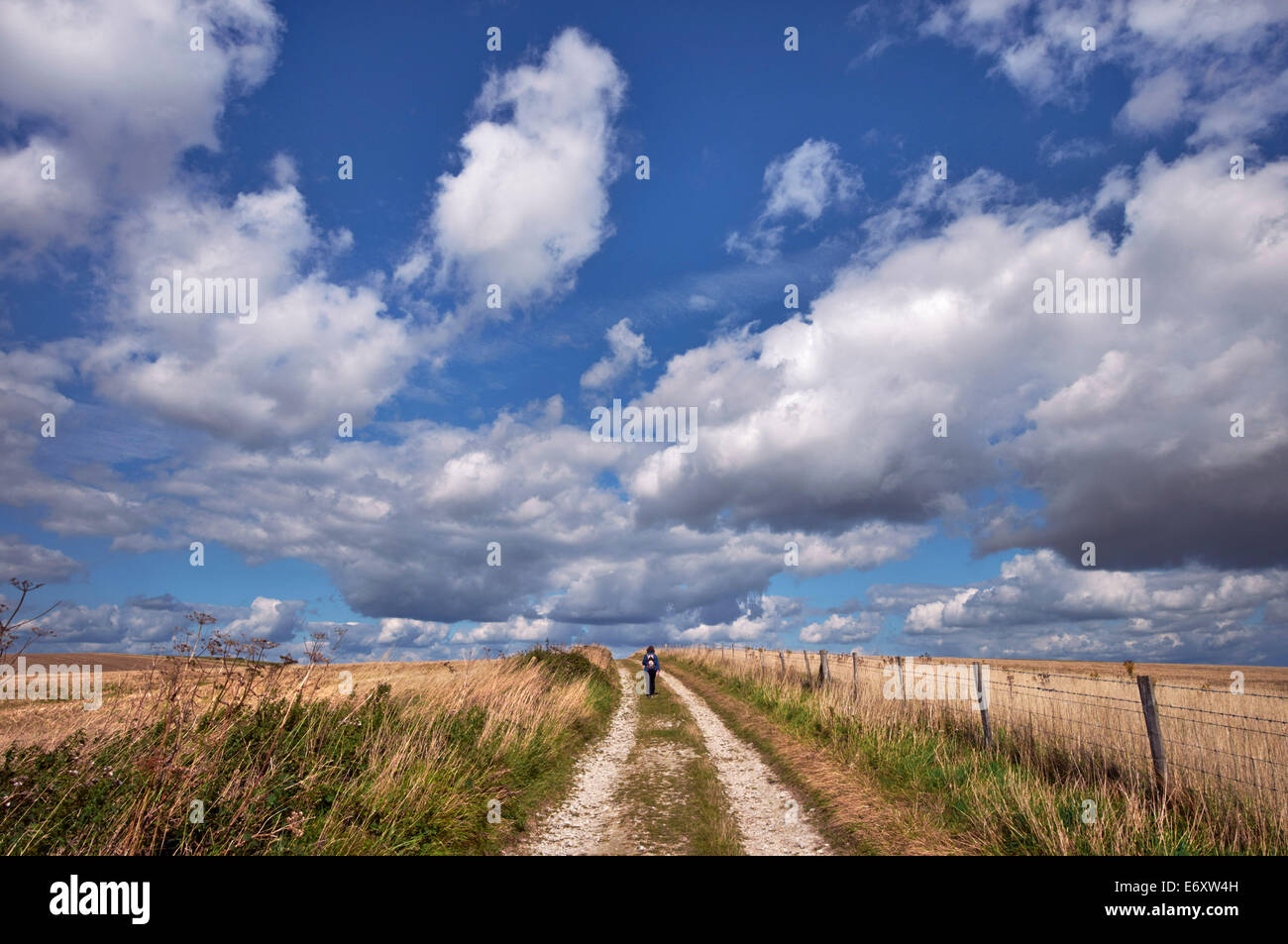 Femme marche sur bridle-chemin sur les South Downs près de Bostal Hill. Alfriston, Sussex, Angleterre. Banque D'Images