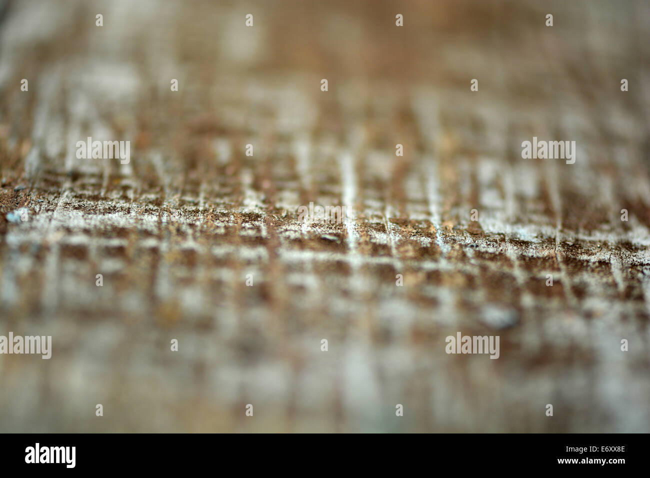 Brown striped wood grain, selective focus Banque D'Images