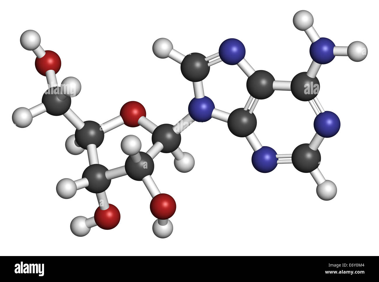 L'adénosine (Ado) de la purine nucléoside molécule. Composante importante de l'ATP, ADP, cAMP et de l'ARN. Aussi utilisé comme médicament. Les atomes sont repré Banque D'Images