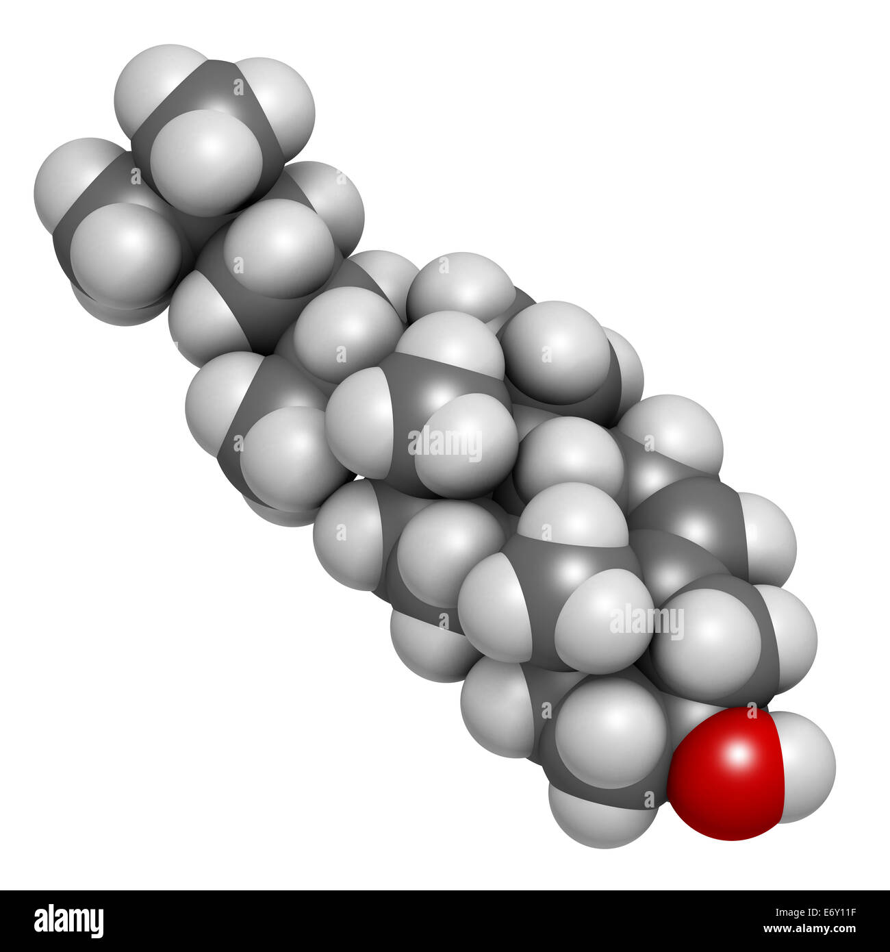 Molécule de cholestérol. Composant essentiel de la membrane cellulaire et les précurseurs des hormones stéroïdes, acides biliaires et de la vitamine D. Un des atomes Banque D'Images