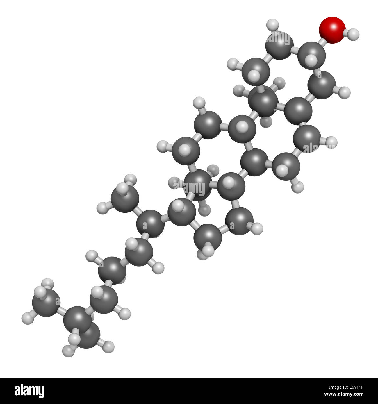 Molécule de cholestérol. Composant essentiel de la membrane cellulaire et les précurseurs des hormones stéroïdes, acides biliaires et de la vitamine D. Un des atomes Banque D'Images
