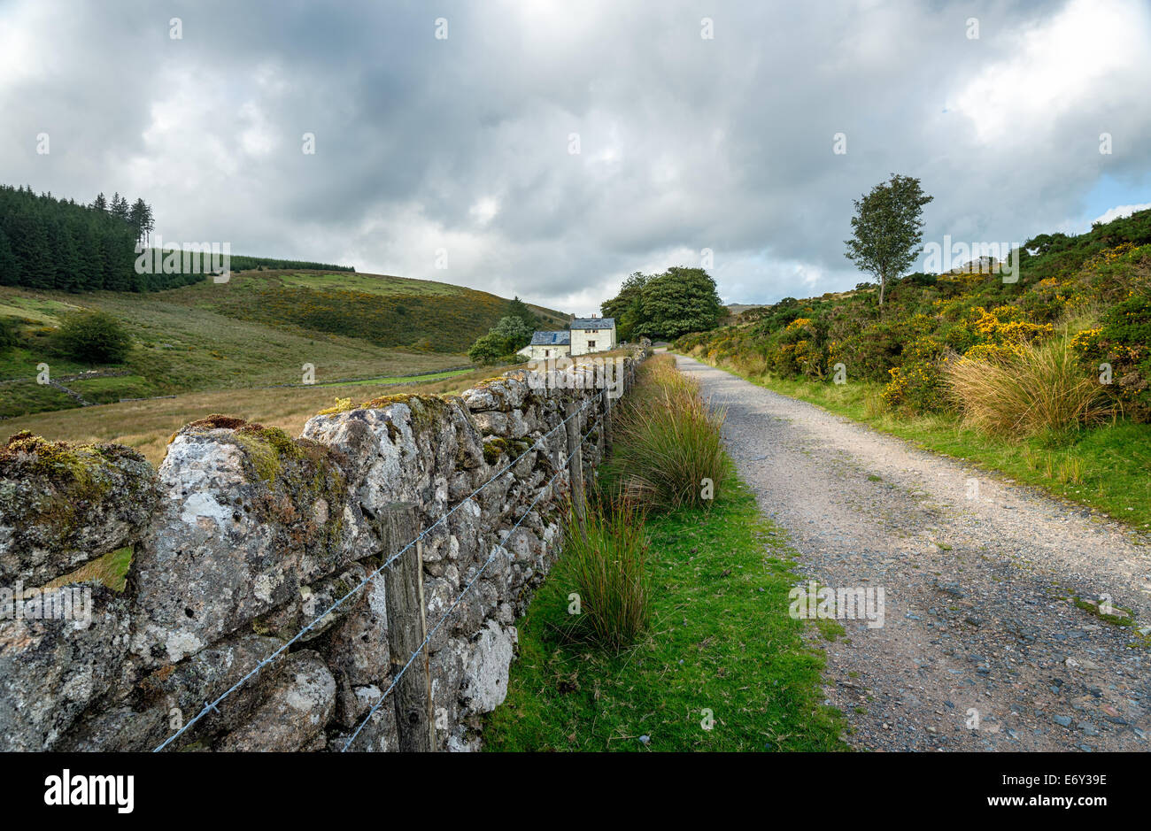 Chemin de campagne menant à Wistman's Wood à deux ponts sur le parc national du Dartmoor dans le Devon Banque D'Images