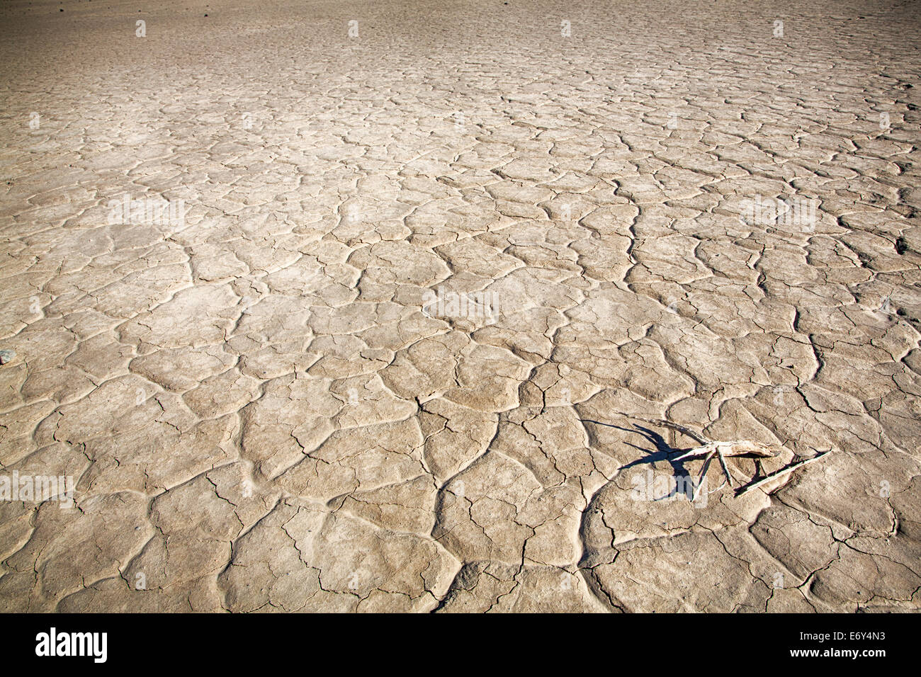 La boue fissuré sur le sol d'une vallée dans la région de Death Valley National Park. La Californie, USA Banque D'Images