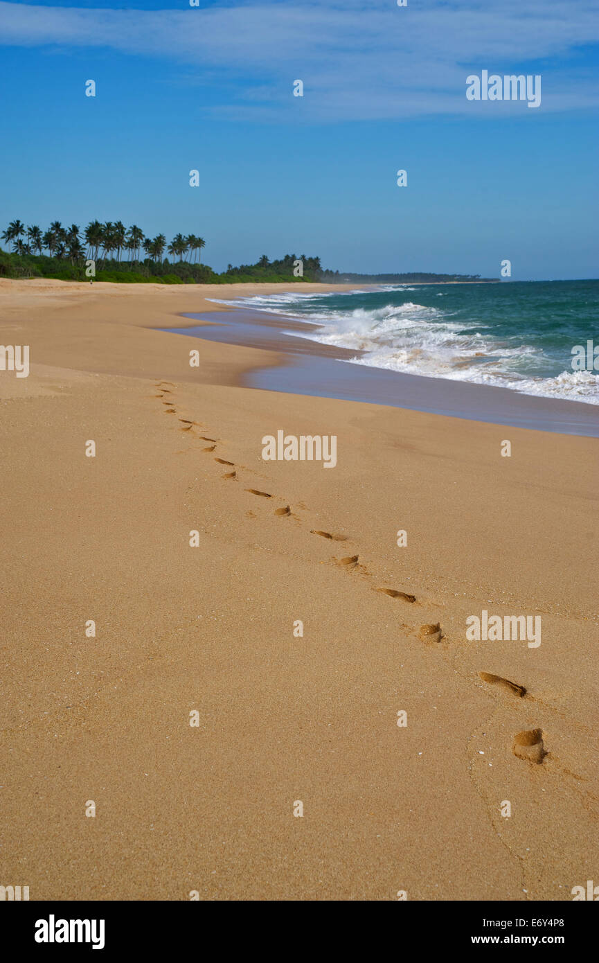 Des traces de pas dans le sable le long d'une longue plage déserte à l'est de Tangalle, côte sud, Sri Lanka, de l'Asi Banque D'Images