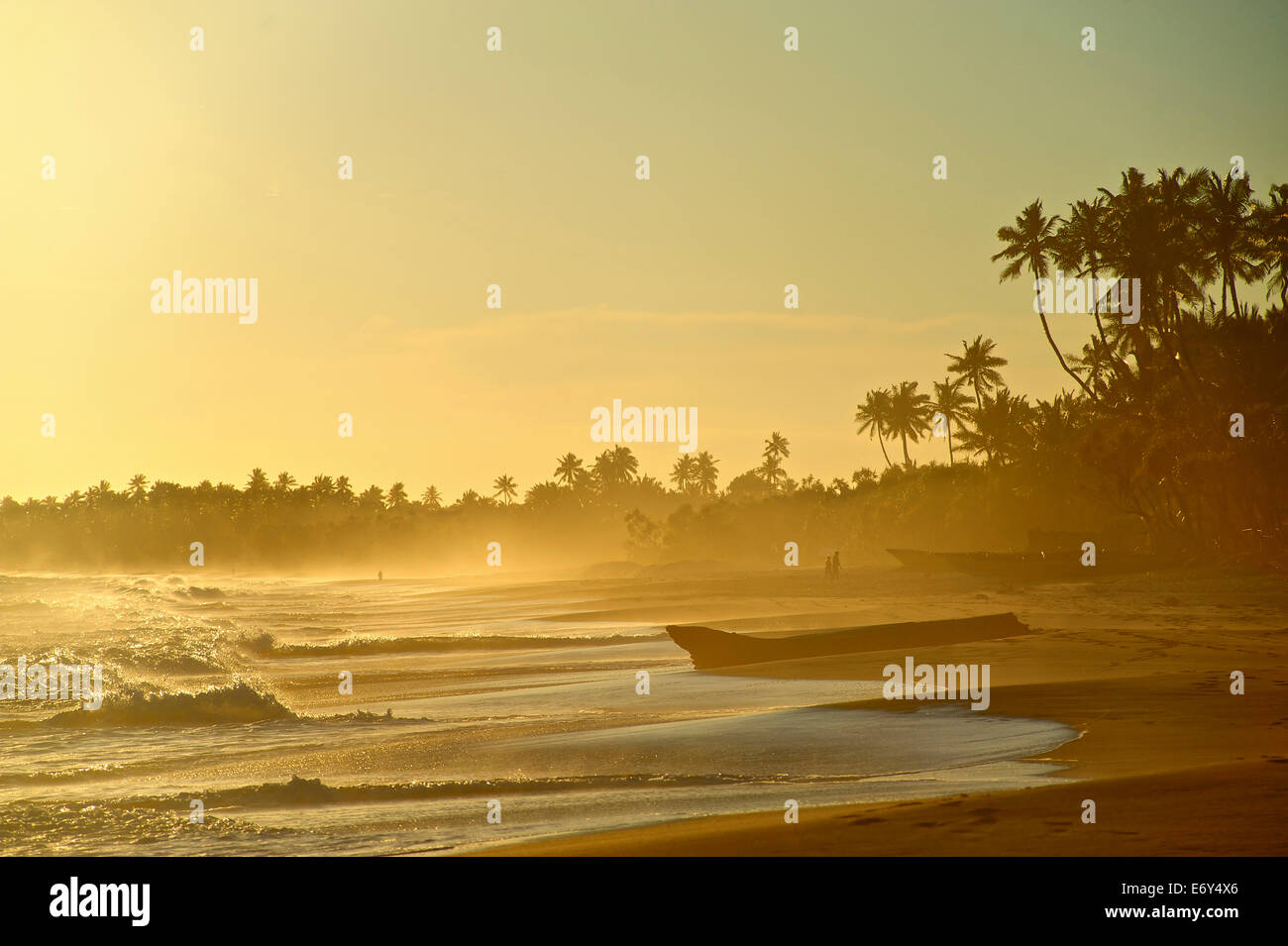 Plage déserte en fin d'après-midi, le Turtle Bay à l'est de Tangalle, au sud du Sri Lanka, de l'Asie du Sud Banque D'Images