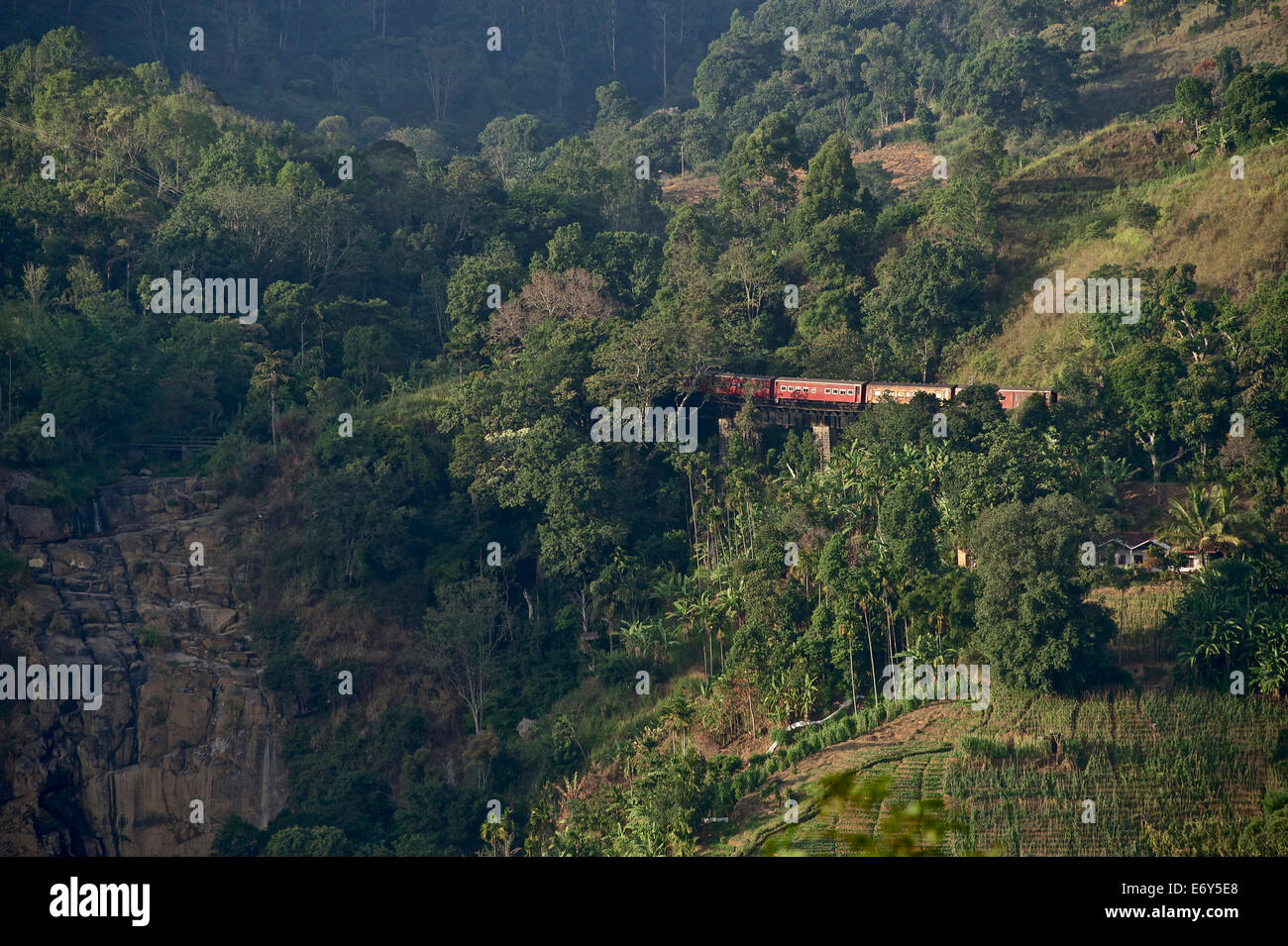 Former dans les highlands à Ella Gap, le Sri Lanka, l'Asie du Sud Banque D'Images
