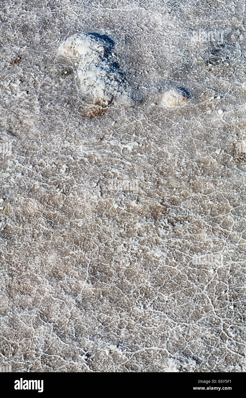 Formations de cristaux de sel sur le plancher de la Death Valley National Park, en Californie. Banque D'Images