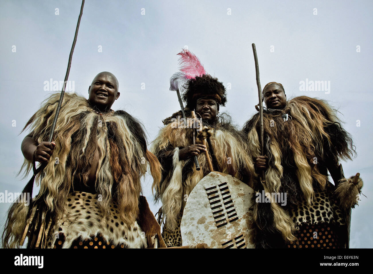 Trois hommes de la tribu Swazi en fourrure avec des tenues traditionnelles des boucliers et des bâtons, Swaziland, Afrique Banque D'Images