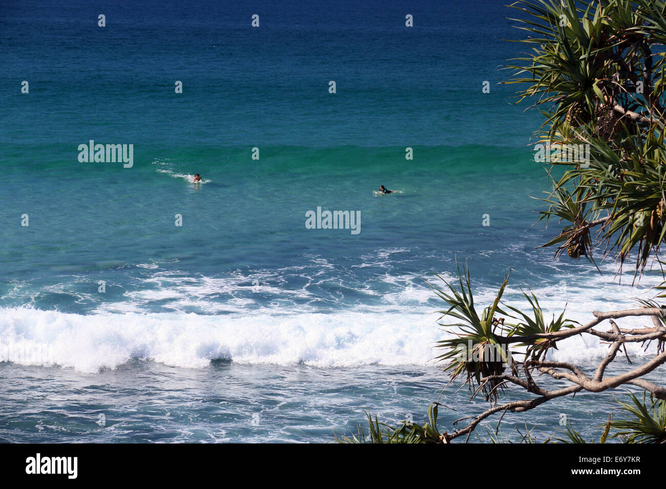 Surf riders attraper une vague sur la Gold Coast en Australie Banque D'Images
