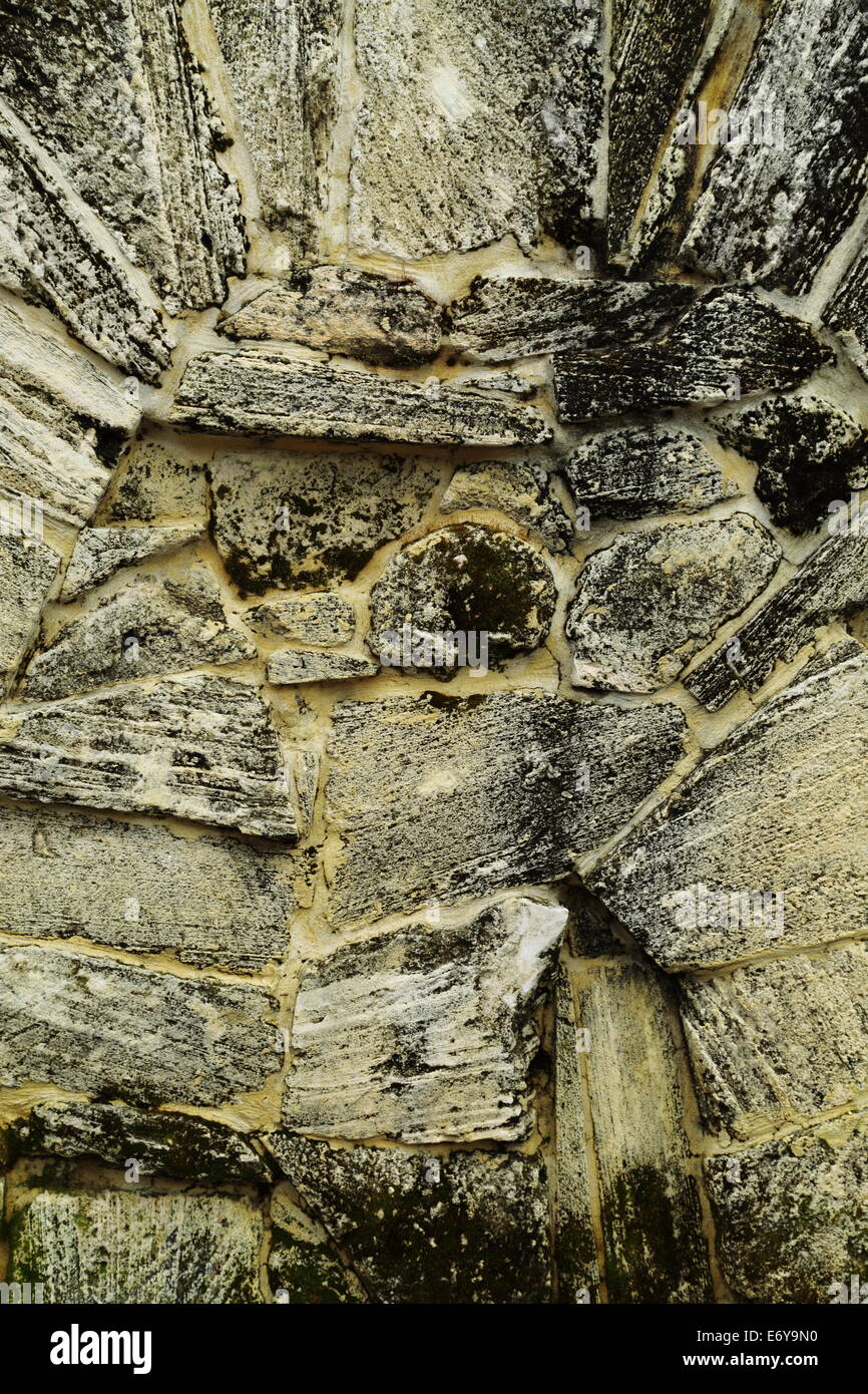 Moss et la texture d'un mur en pierre calcaire à Fremantle, Australie occidentale. Banque D'Images
