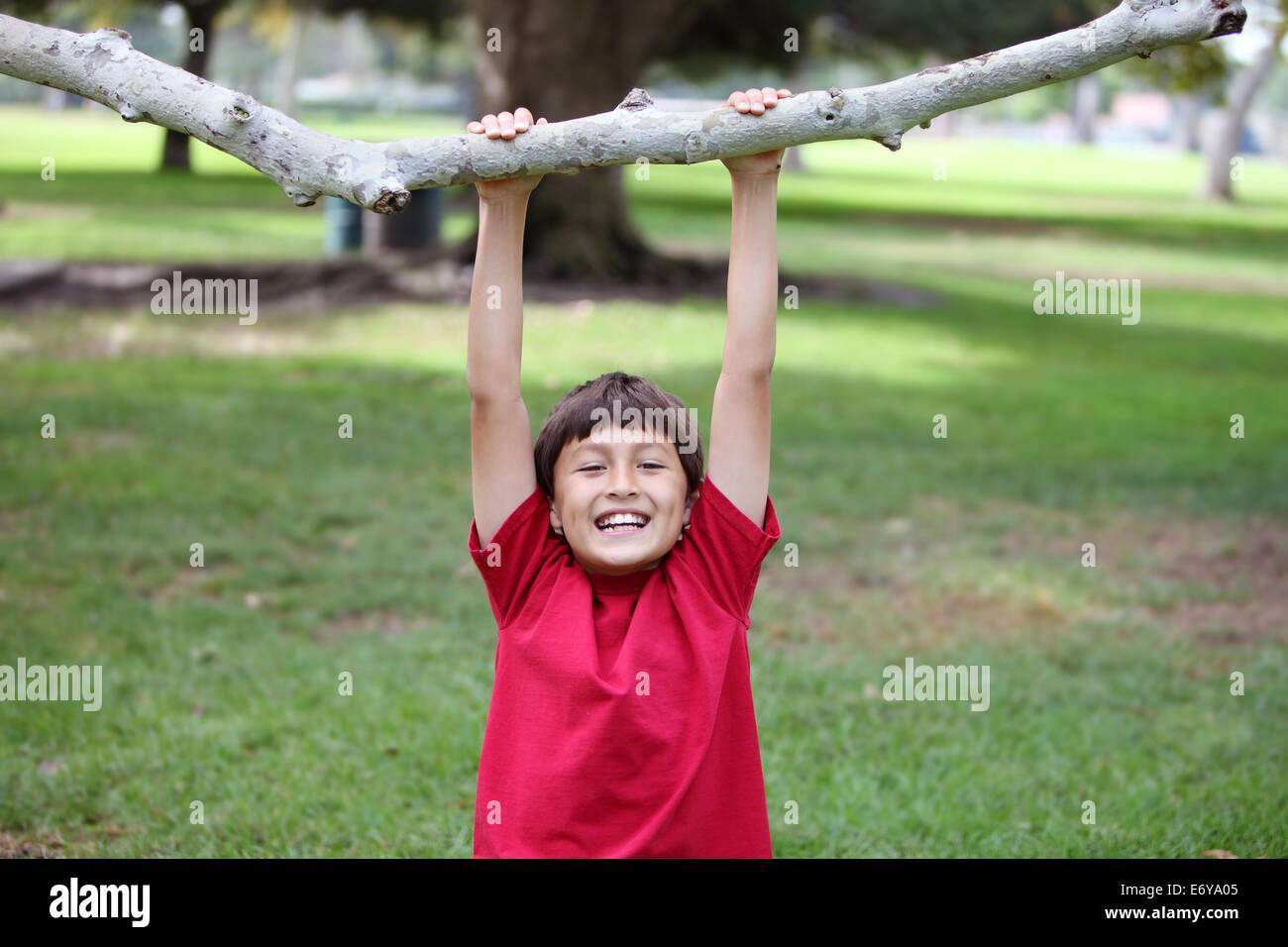 Happy Young boy suspendu à une branche d'arbre au parc Banque D'Images