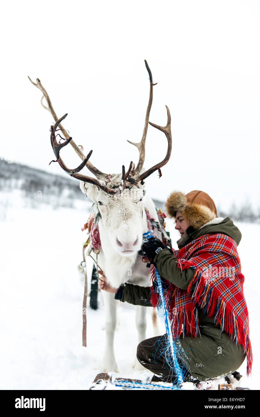Gardien de rennes au Camp Tamoc, Laponie, Finlande, Scandinavie, Europe Banque D'Images