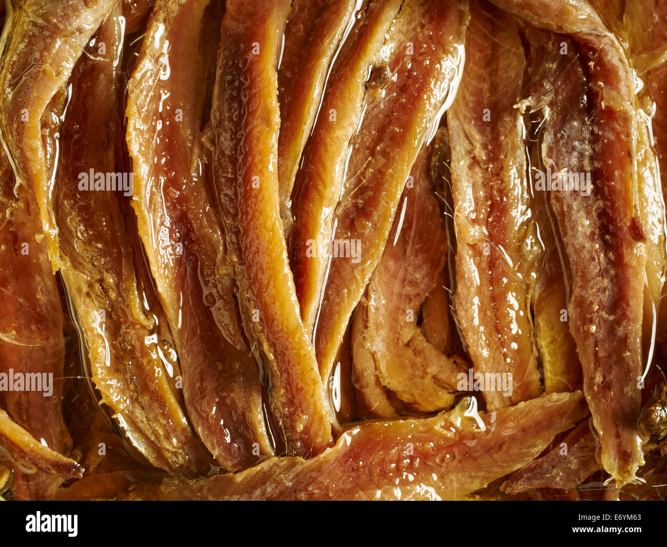 Filets d'anchois dans l'huile d'olive Banque D'Images