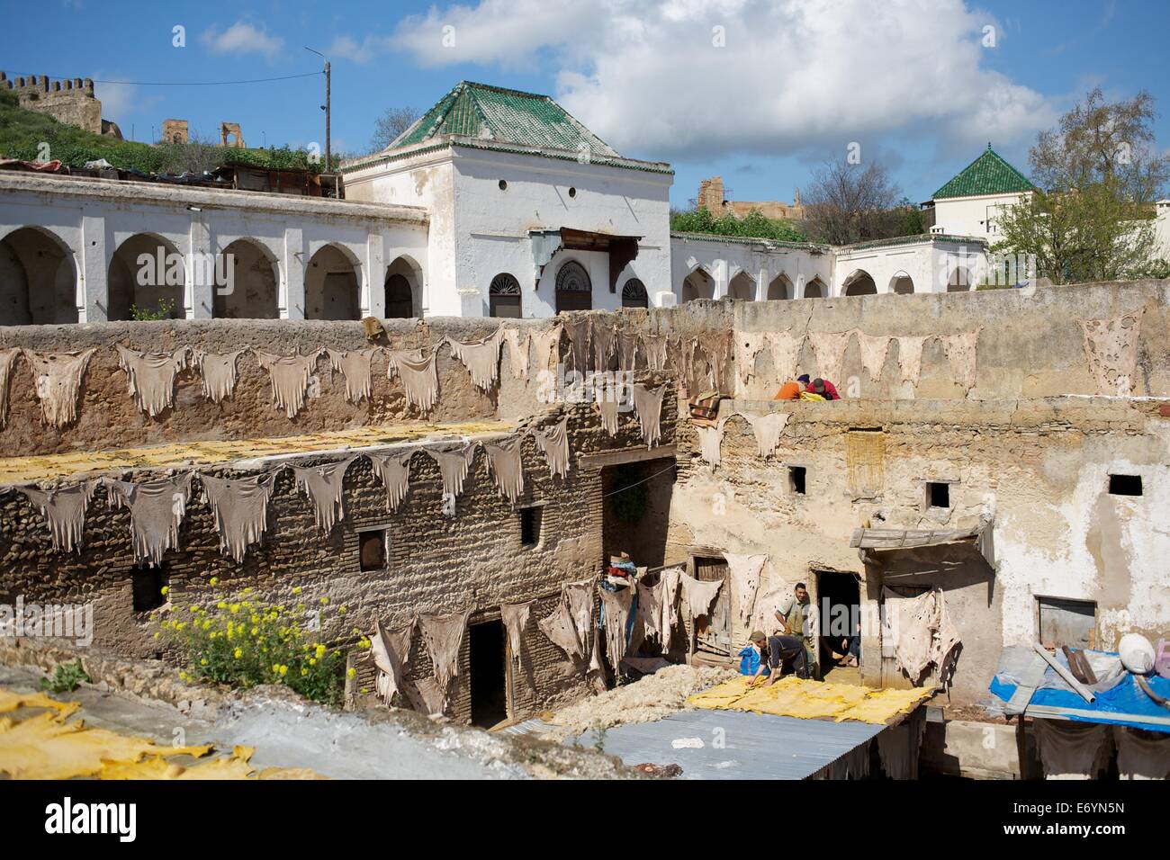 Tannerie traditionnelle dans le vieux Fès, cuves pour le tannage et la teinture du cuir cuirs et peaux, Fès, Maroc, Afrique du Nord Banque D'Images