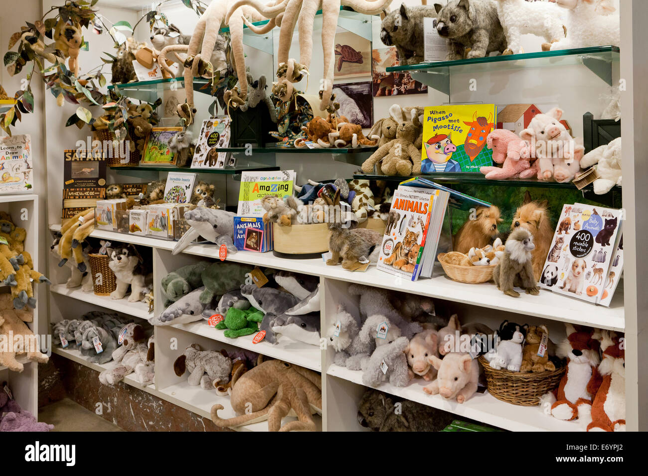 Animaux en peluche sur toy store shelf - USA Banque D'Images