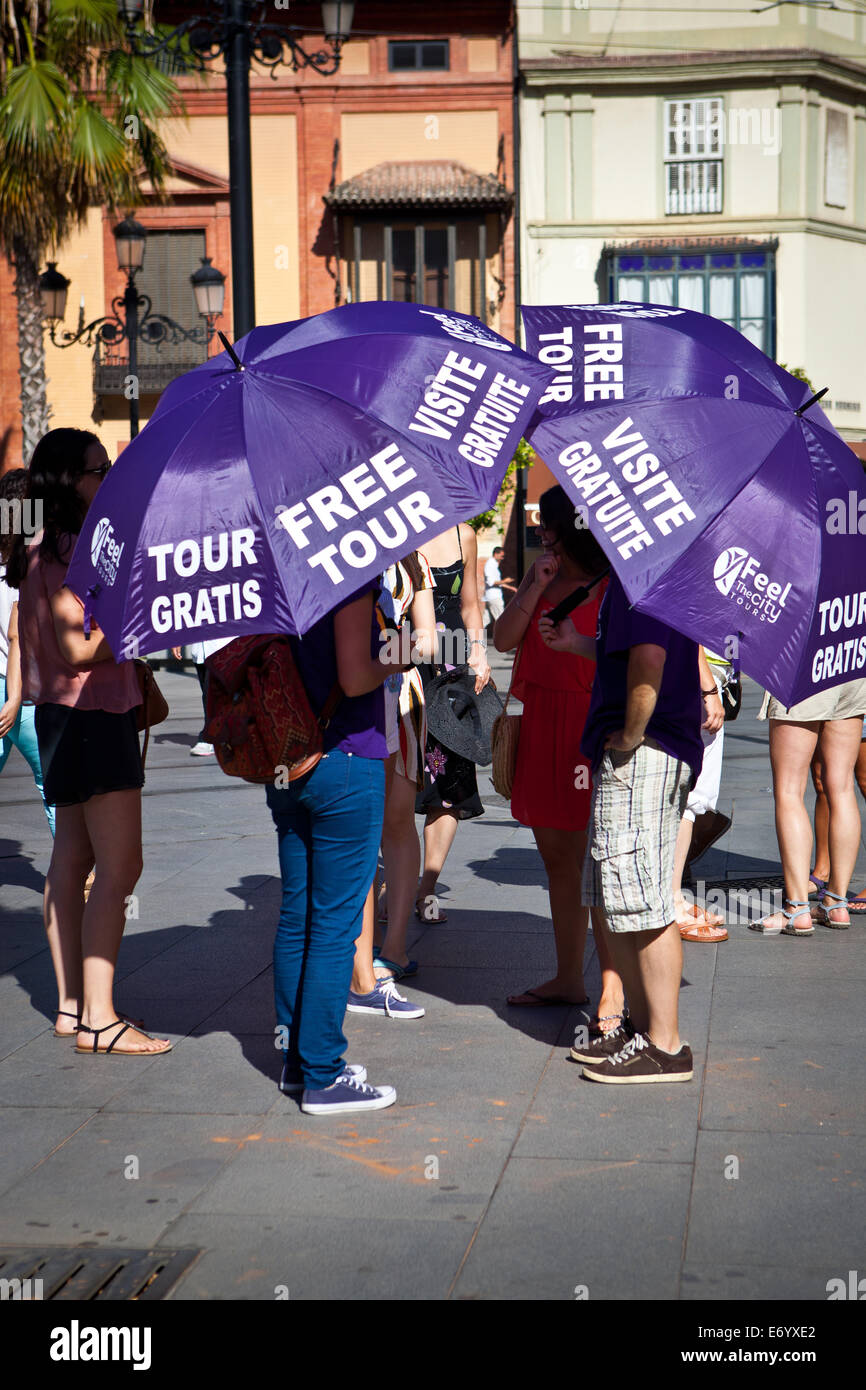Les guides touristiques de Séville Banque D'Images