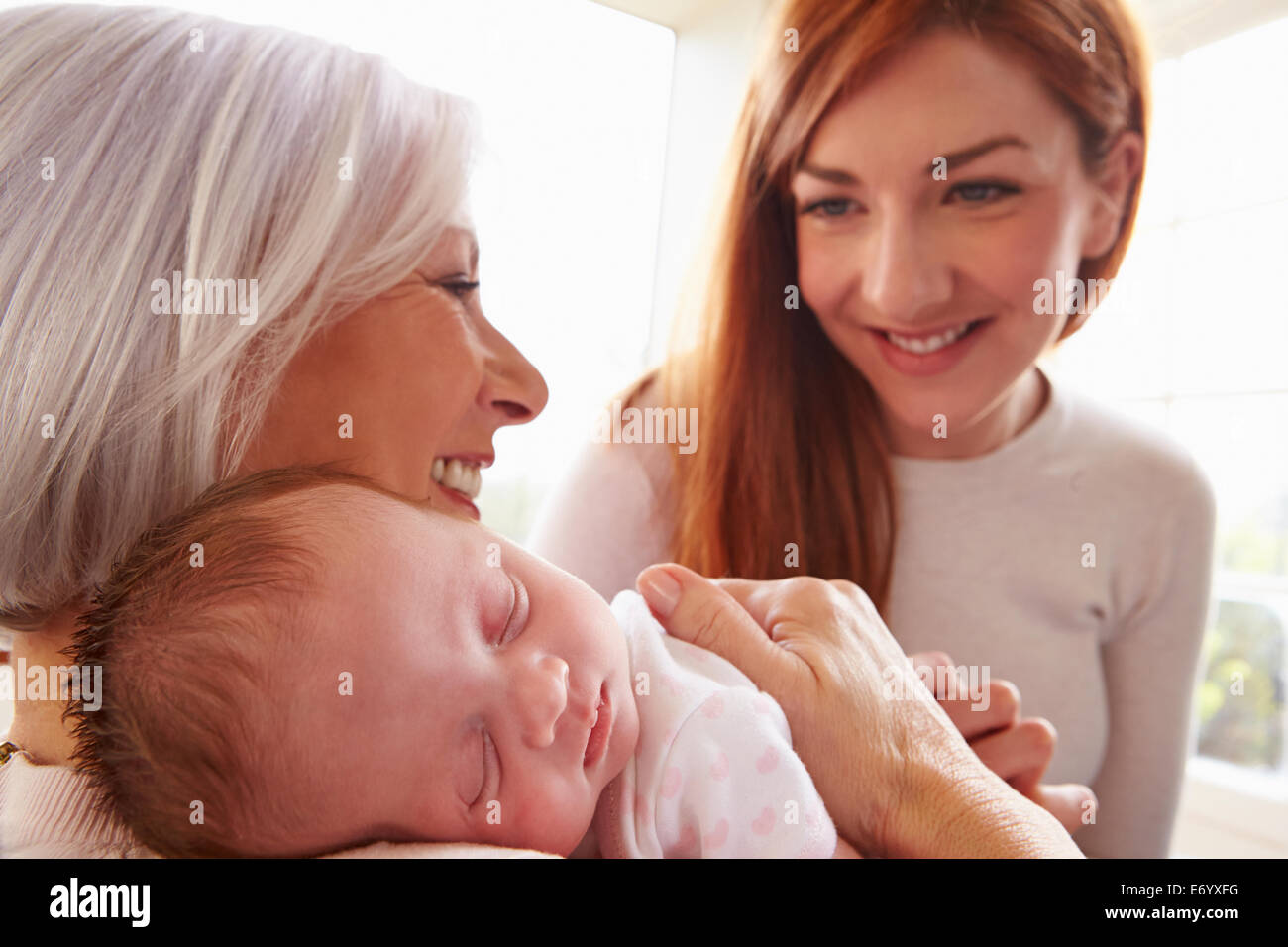 Jeune homme avec chien assis On Sofa Using Digital Tablet Banque D'Images