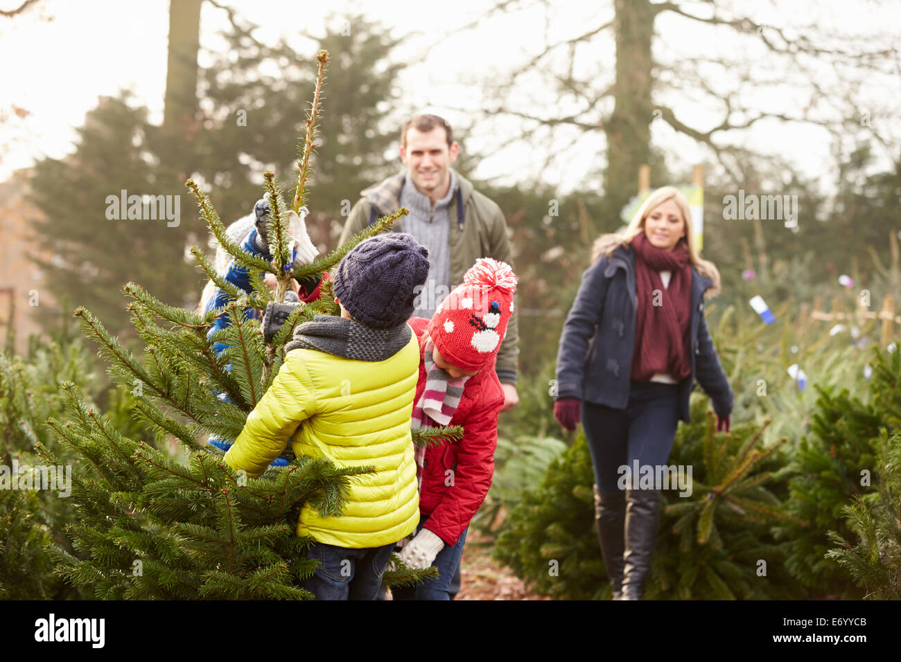 La famille à l'extérieur Choix d'ensemble de l'arbre de Noël Banque D'Images