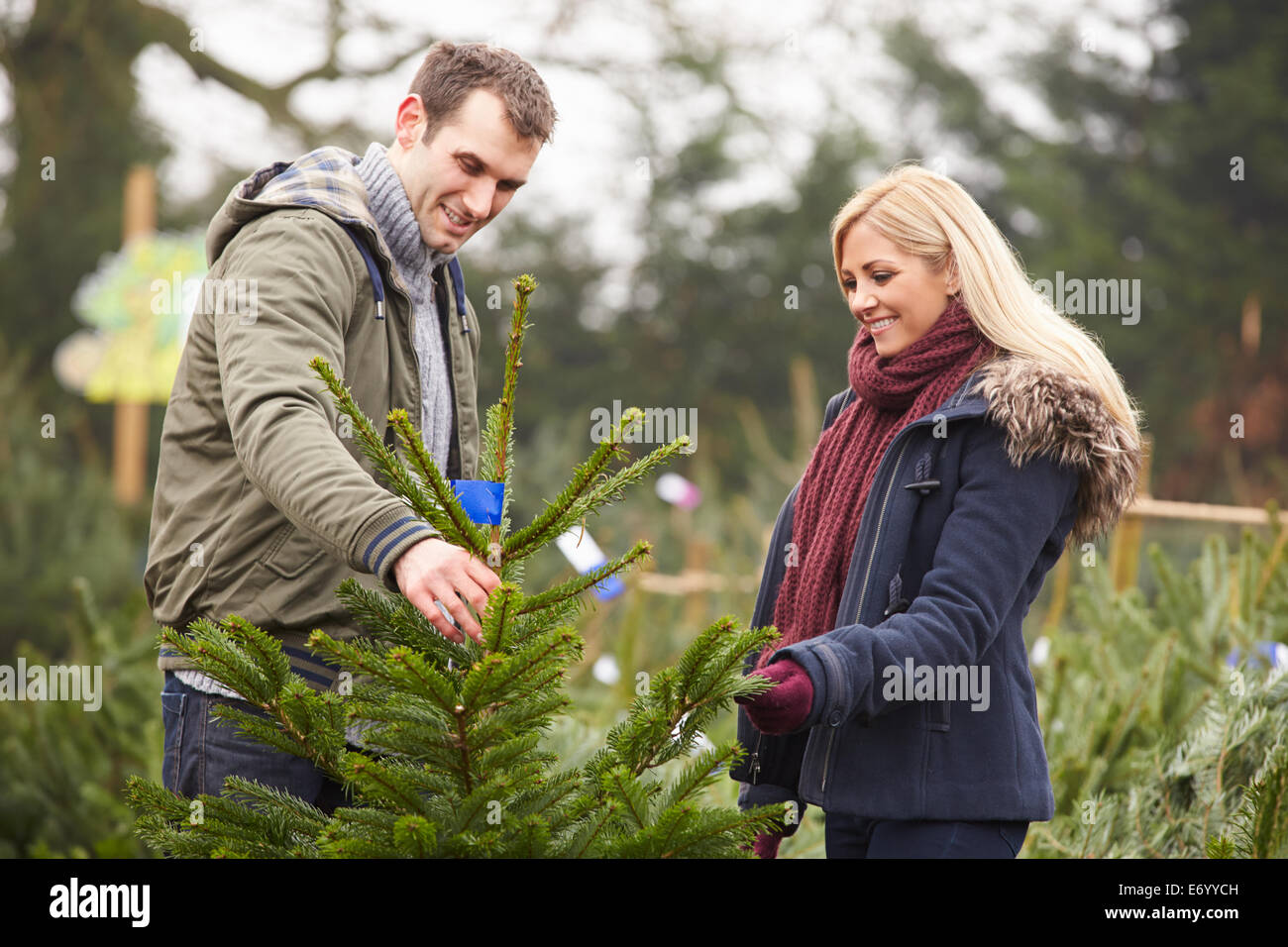 Couple à l'extérieur Choix d'ensemble de l'arbre de Noël Banque D'Images