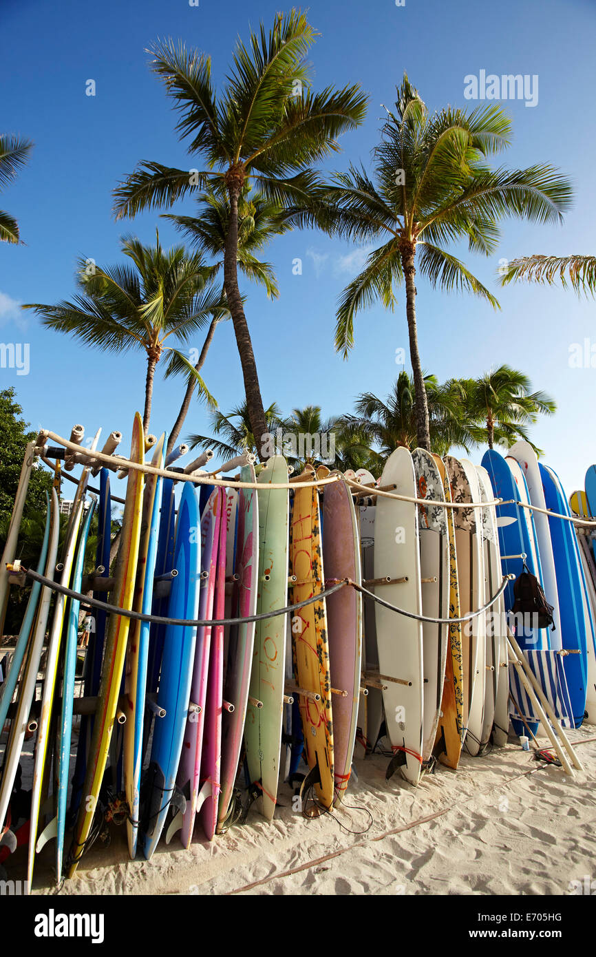 Rangée de planches sur Beach, Waikiki, Oahu, Hawaii, USA Banque D'Images