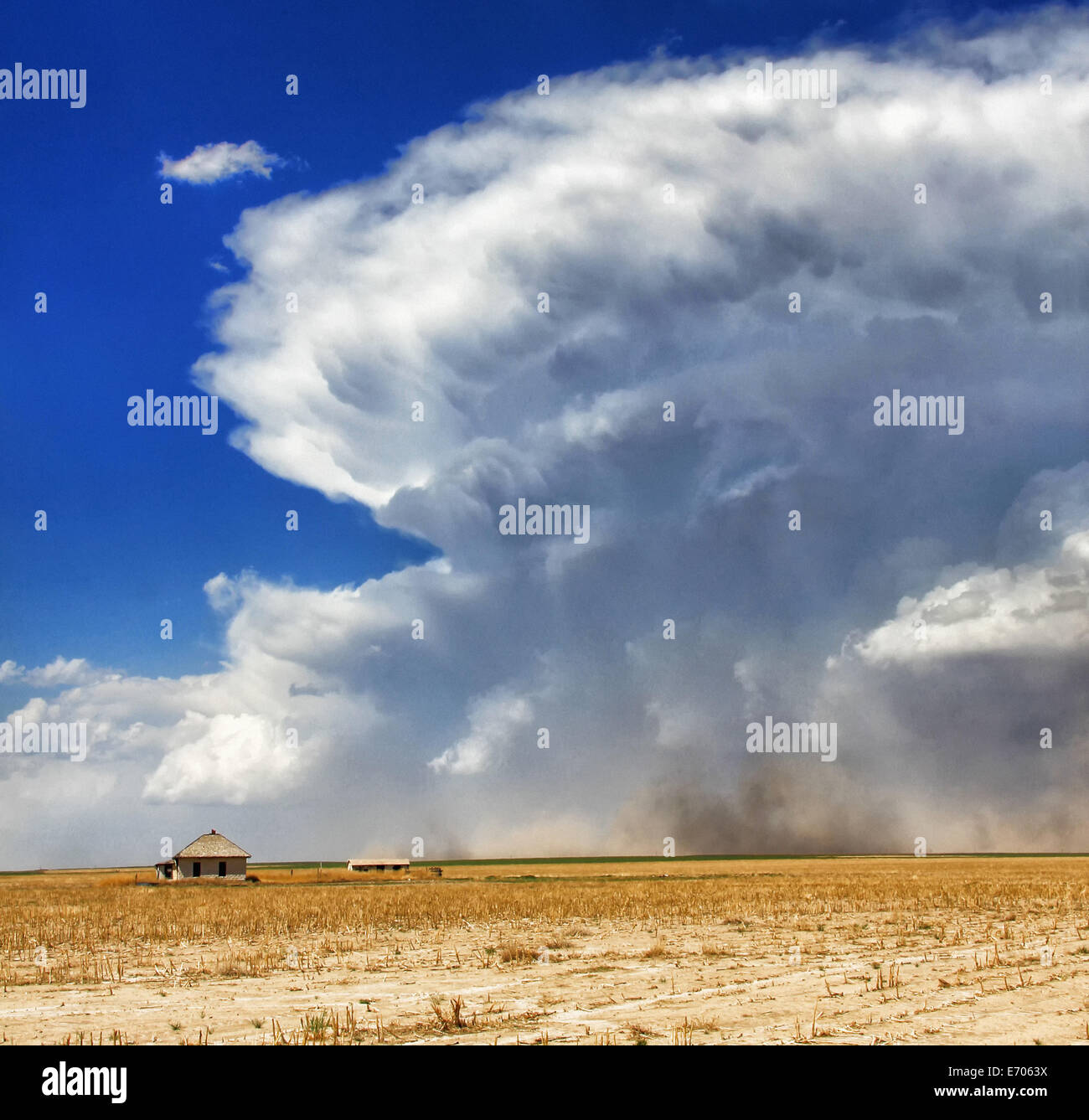 Supercell puissant, fort courant descendant du flanc arrière de la poussière et des coups de rafales, Sheridan Lake, Colorado, USA Banque D'Images