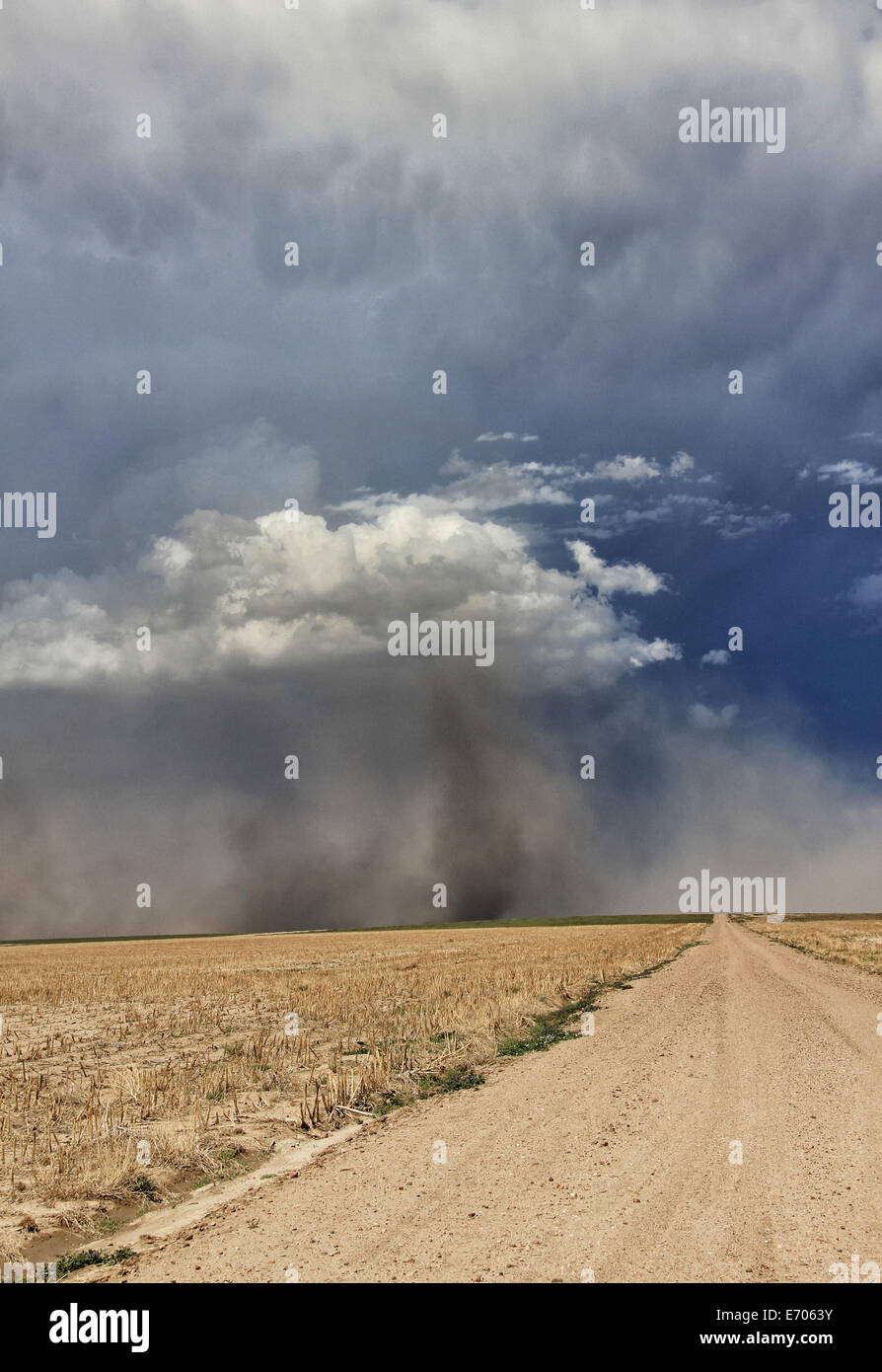Rafales 1 tournent autour de la supercellule en milieu de base de l'orage, tempête de poussière derrière elle, Sheridan Lake, Colorado, USA Banque D'Images