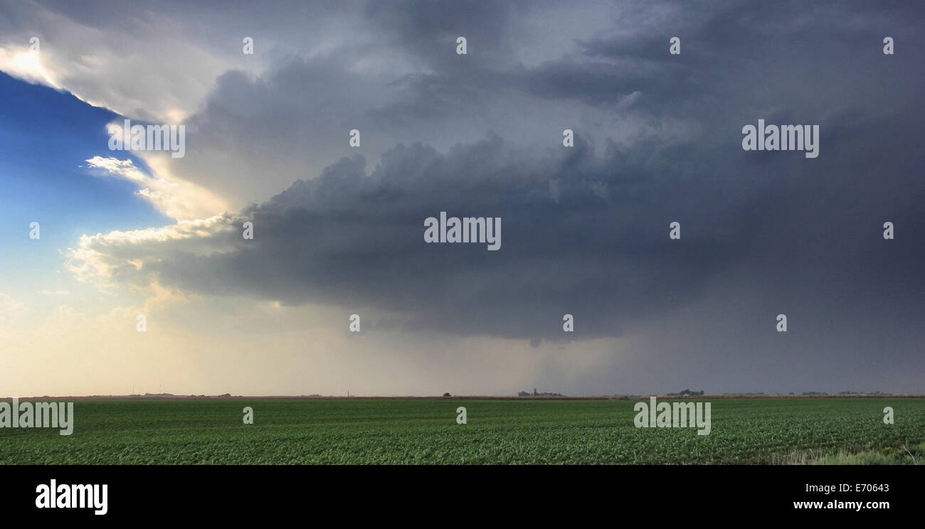 Un orage supercellulaire orage tournant produit un courant ascendant strié avec entonnoir à sa base, Lexington, Kentucky, USA Banque D'Images