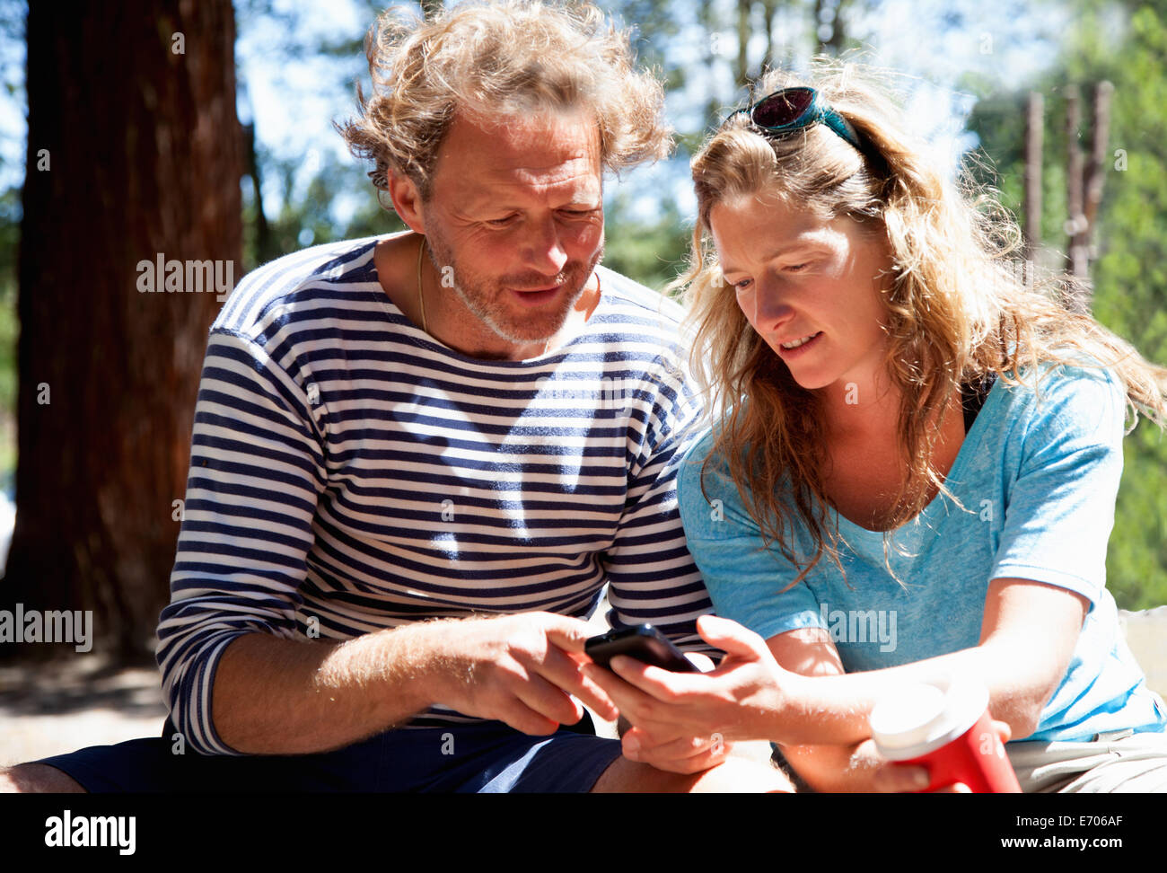 Couple looking down at smartphone in forest Banque D'Images