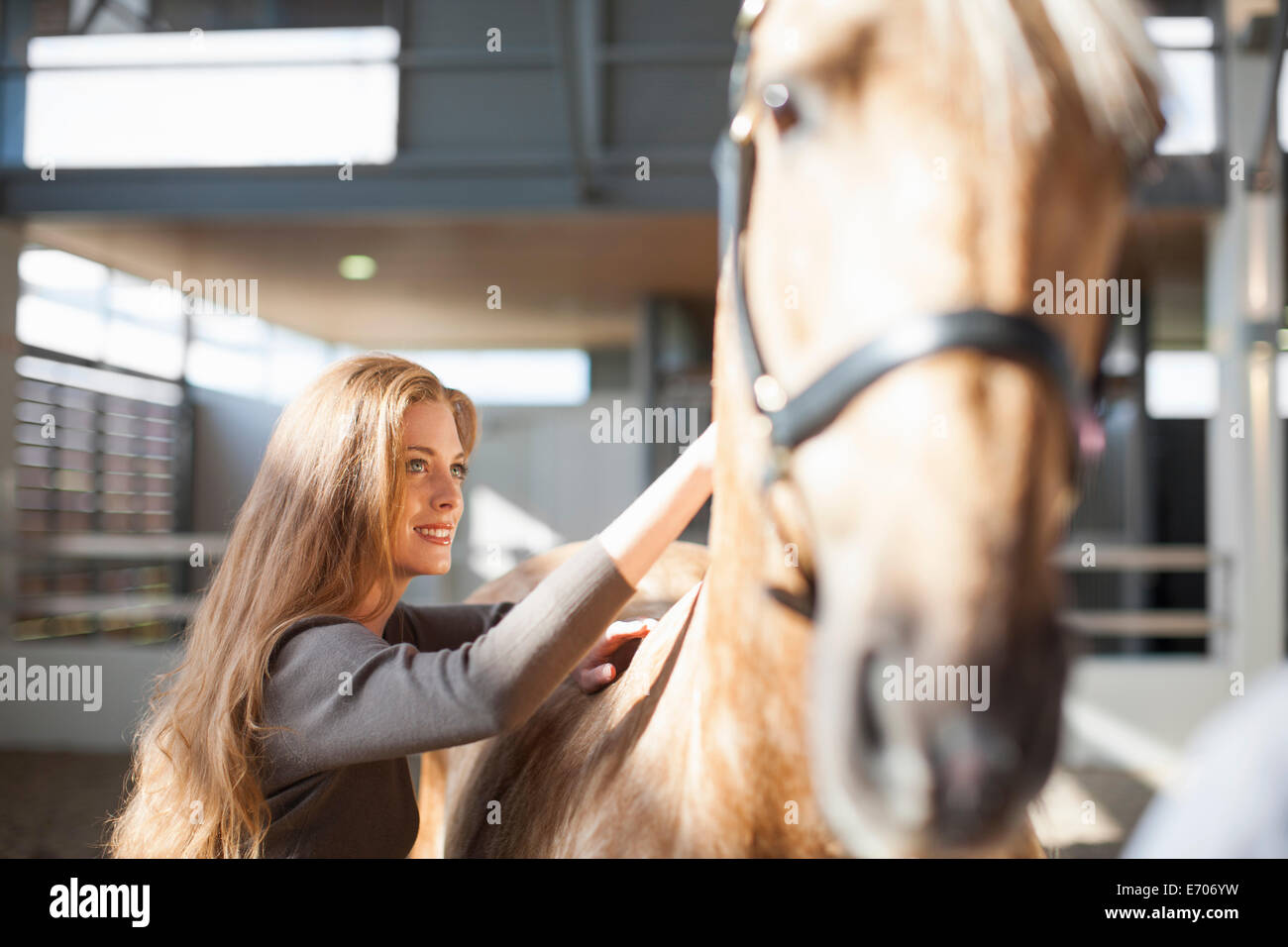 Jeune femme stablehand grooming horse Banque D'Images