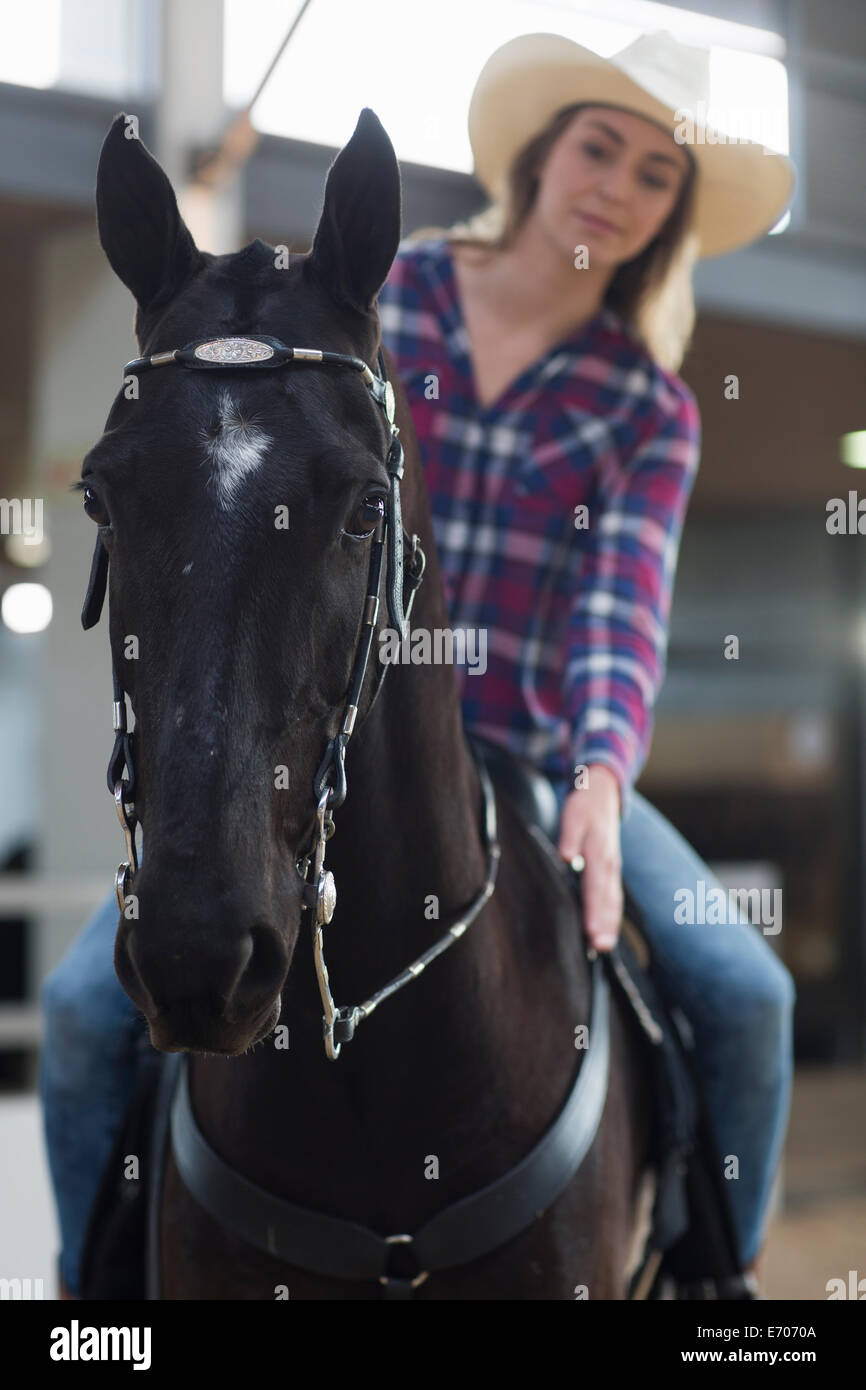 Jeune femme cavalier cheval tapotant dans l'enclos Banque D'Images