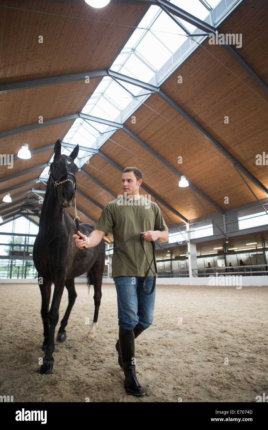 Stablehand cheval mâle menant à l'intérieur des enclos Banque D'Images