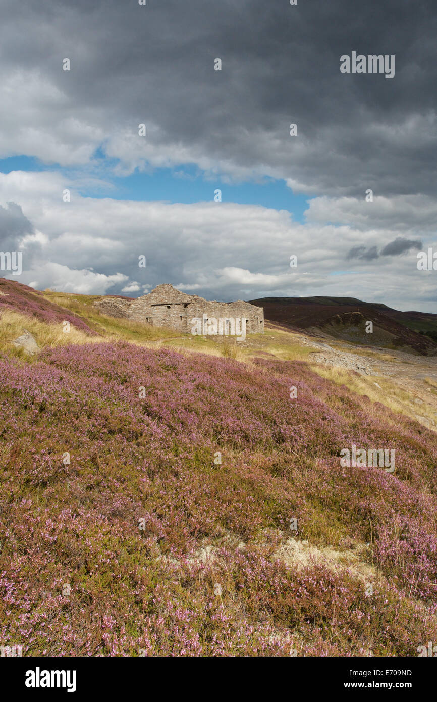 L'ancienne mine de plomb en ruine à l'abandon en pont Swaledale, North Yorkshire sont mis en évidence par le soleil. Banque D'Images