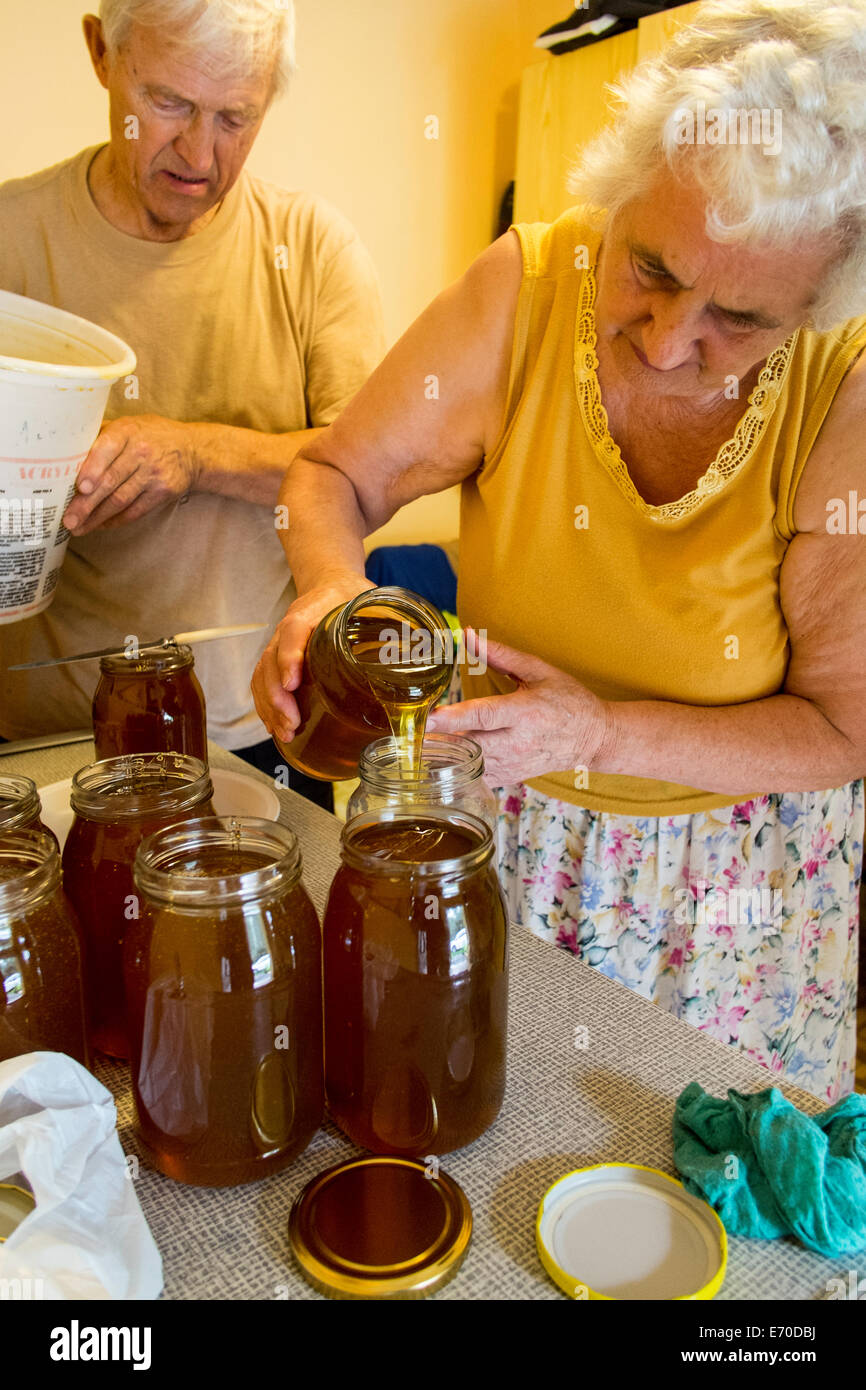Rucher familial, le miel est distribué en pots, Osiny, Pologne Banque D'Images