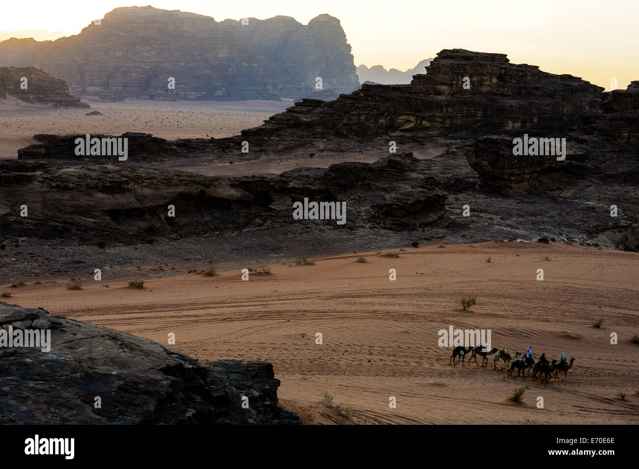 La Jordanie. Le wadi Rum est aussi connu sous le nom de vallée de la Lune. Petite caravane de dromadaires en direction du camp bédouin. Banque D'Images